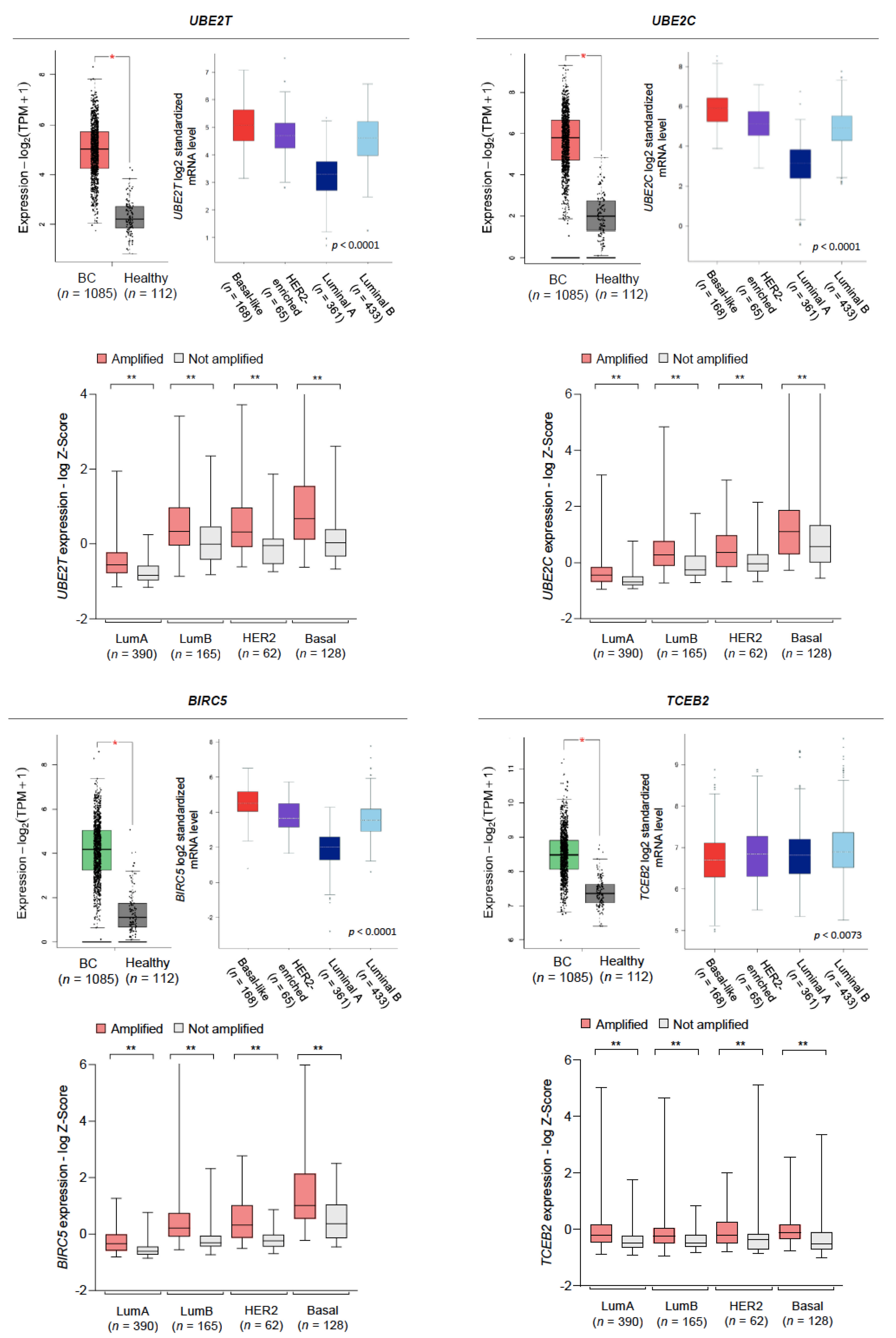Cancers 13 00833 g003