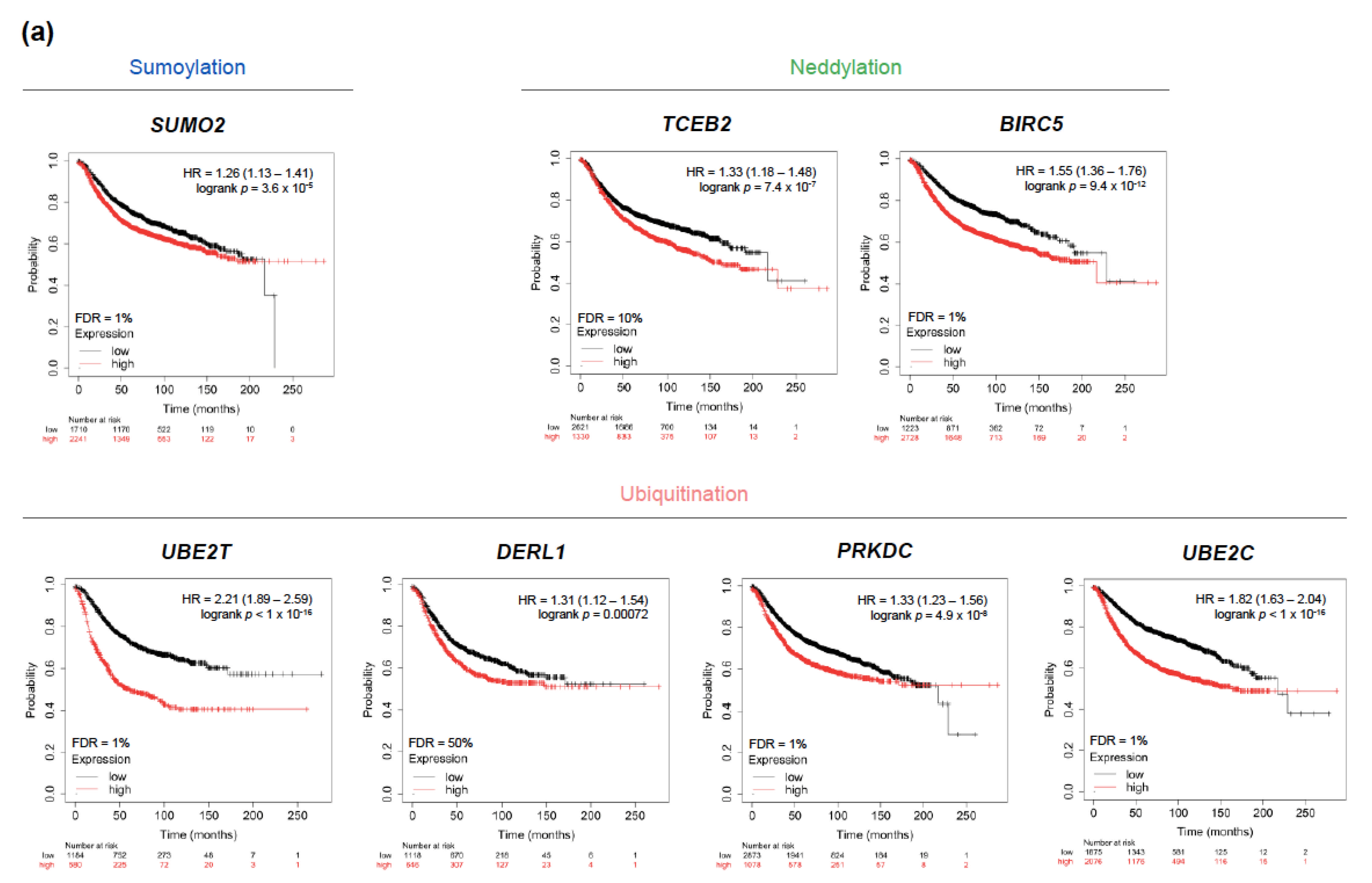 Cancers 13 00833 g004a
