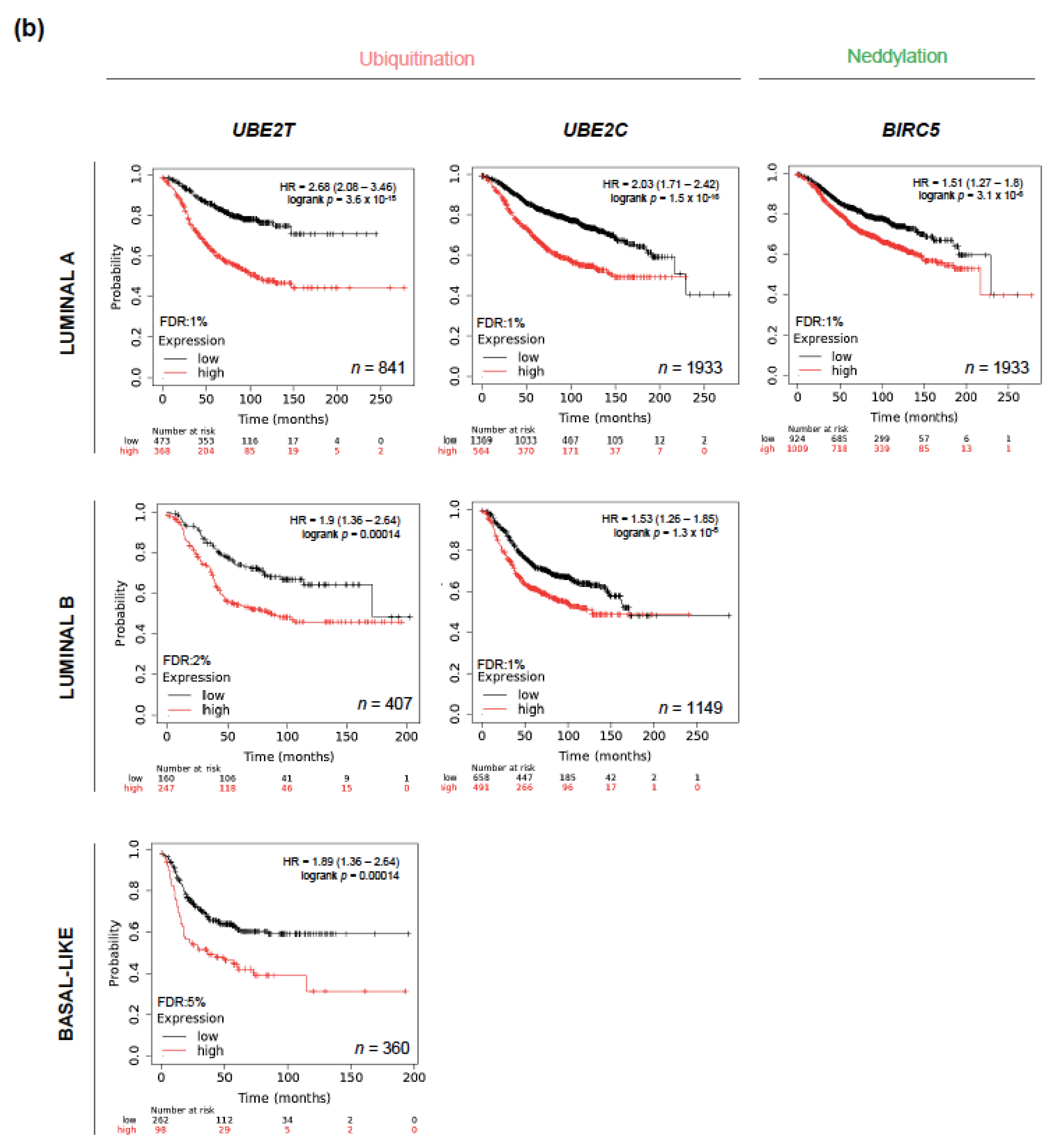 Cancers 13 00833 g005b