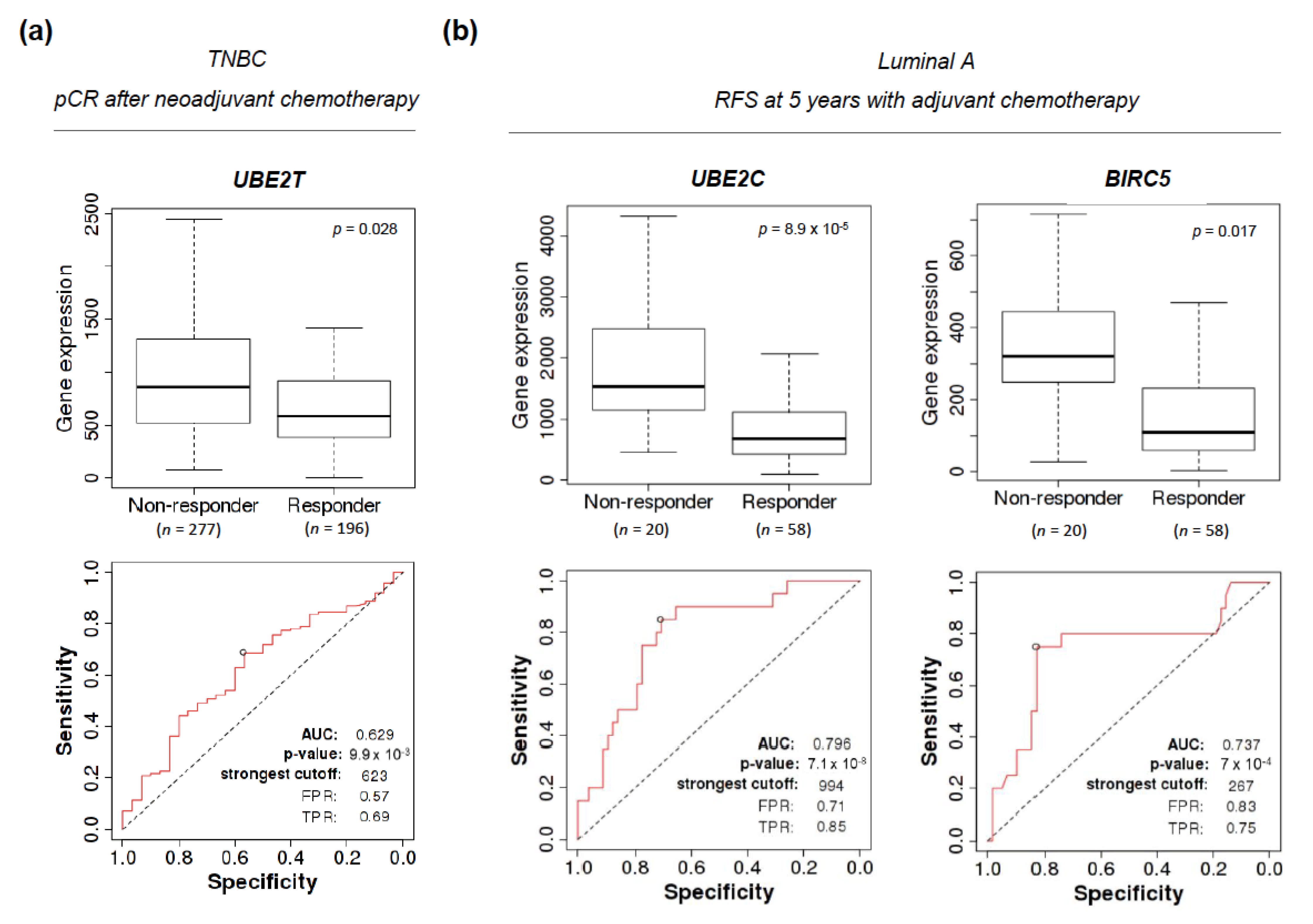 Cancers 13 00833 g006a