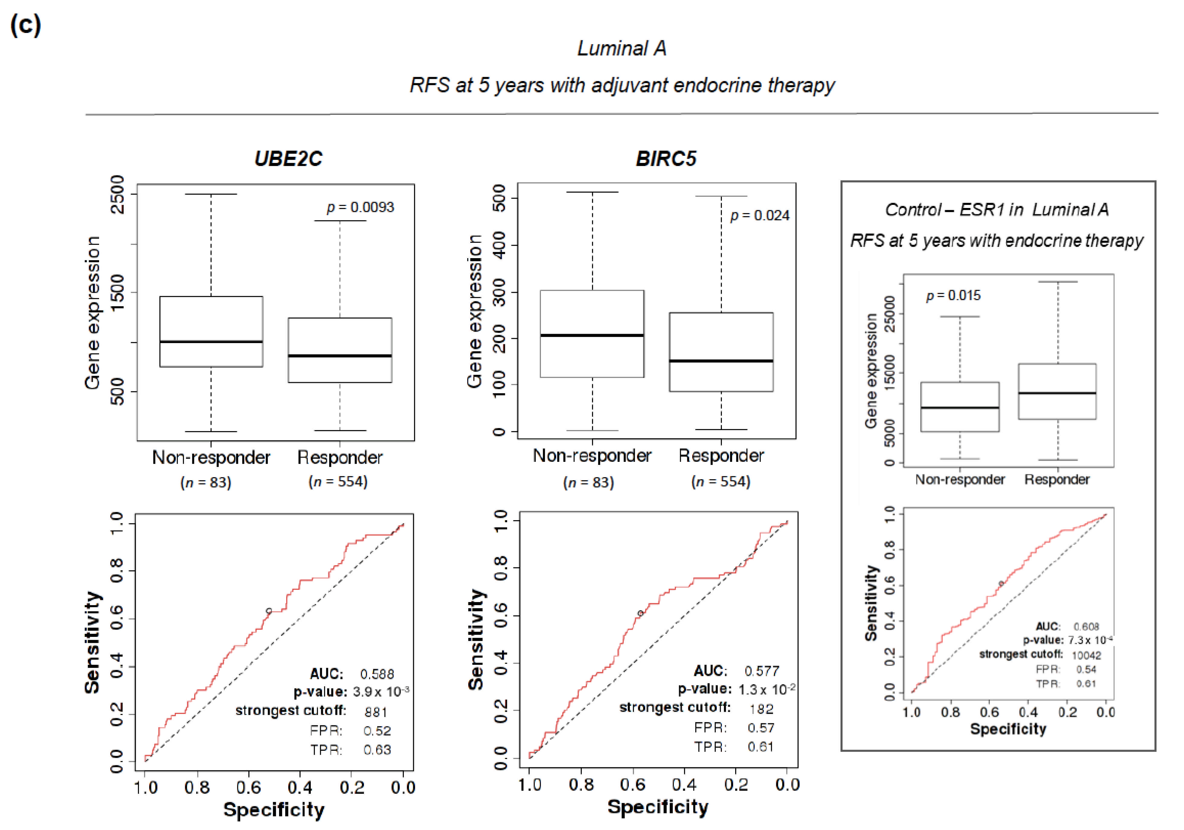 Cancers 13 00833 g006b