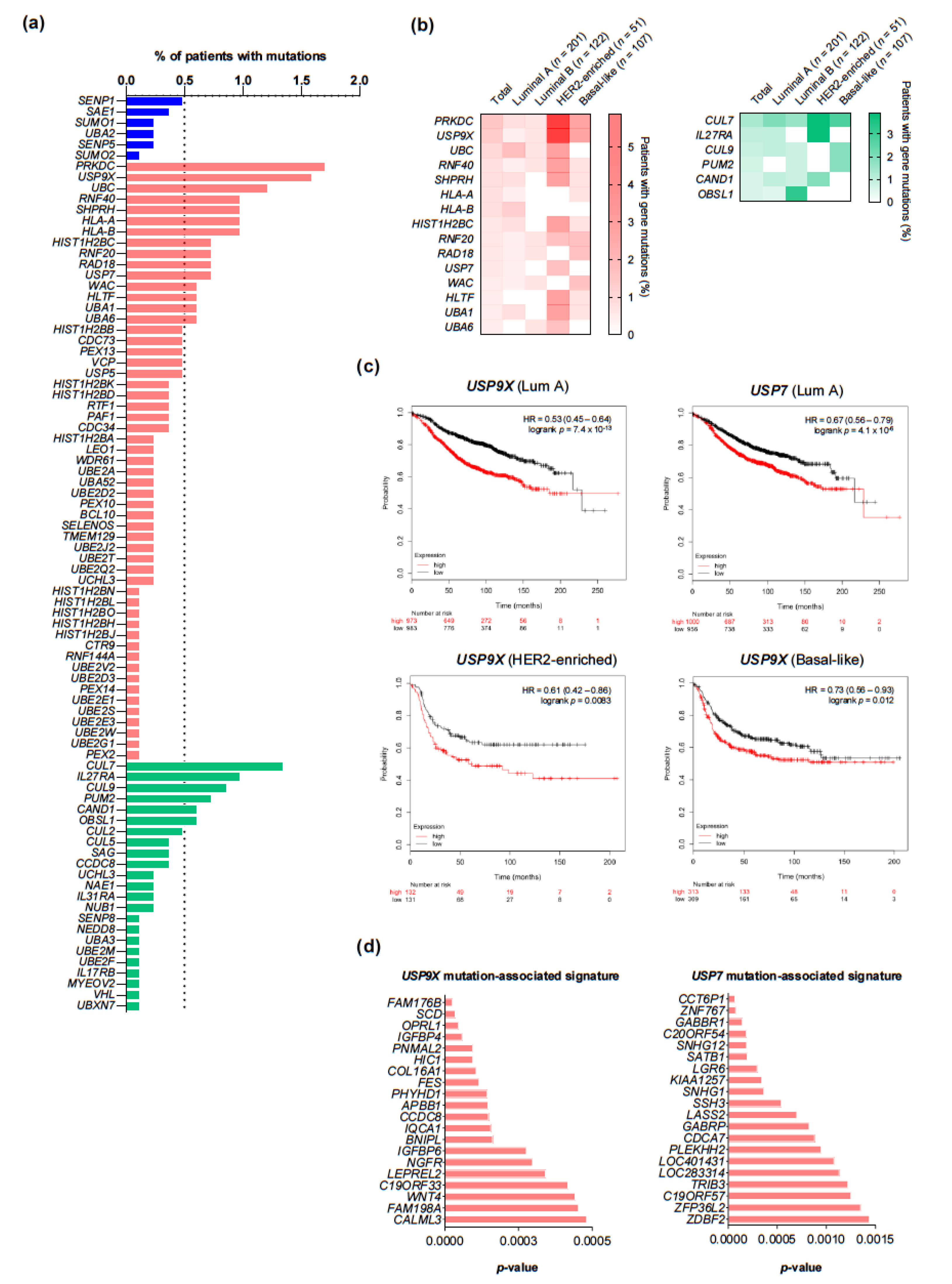 Cancers 13 00833 g007