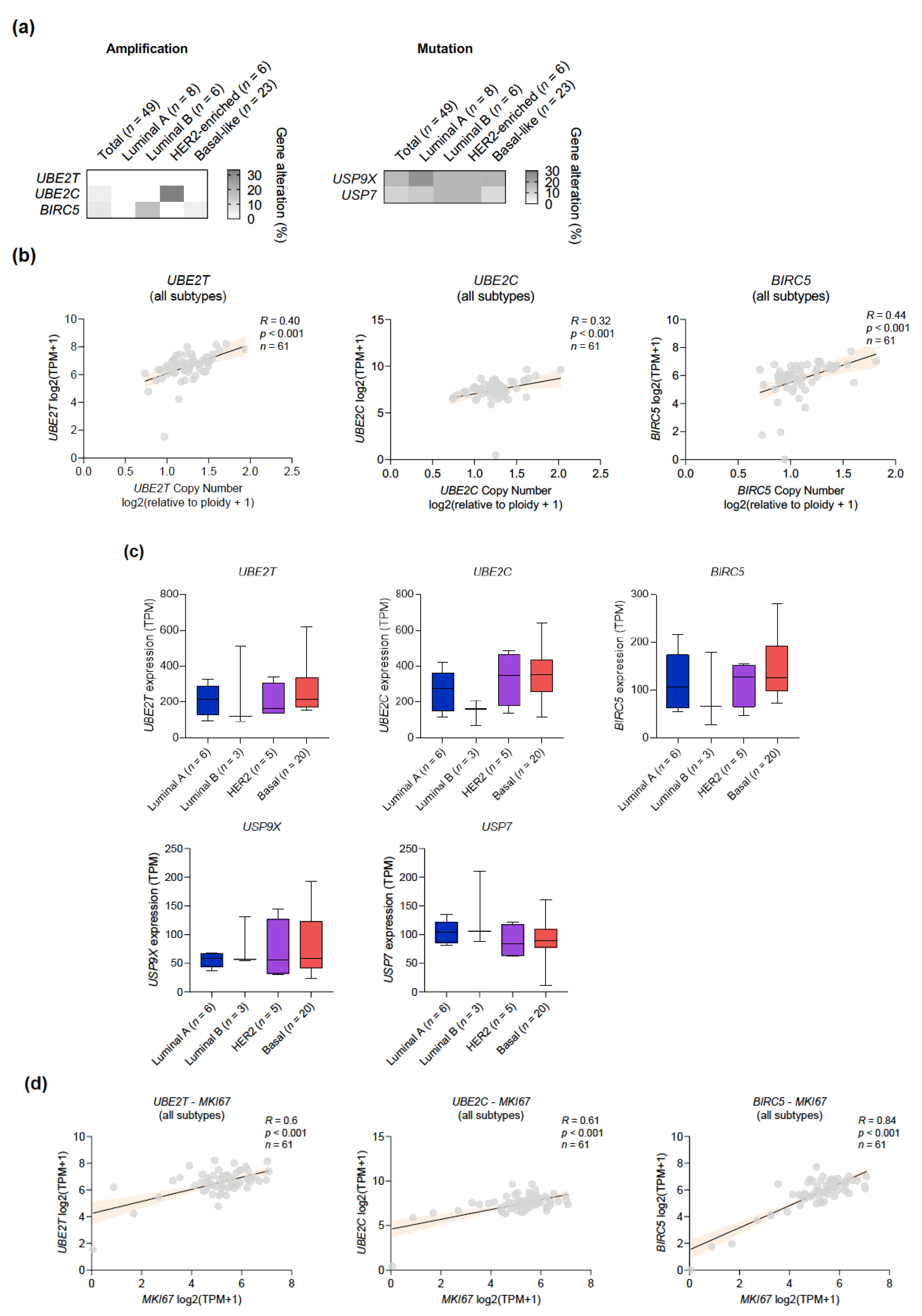 Cancers 13 00833 g008