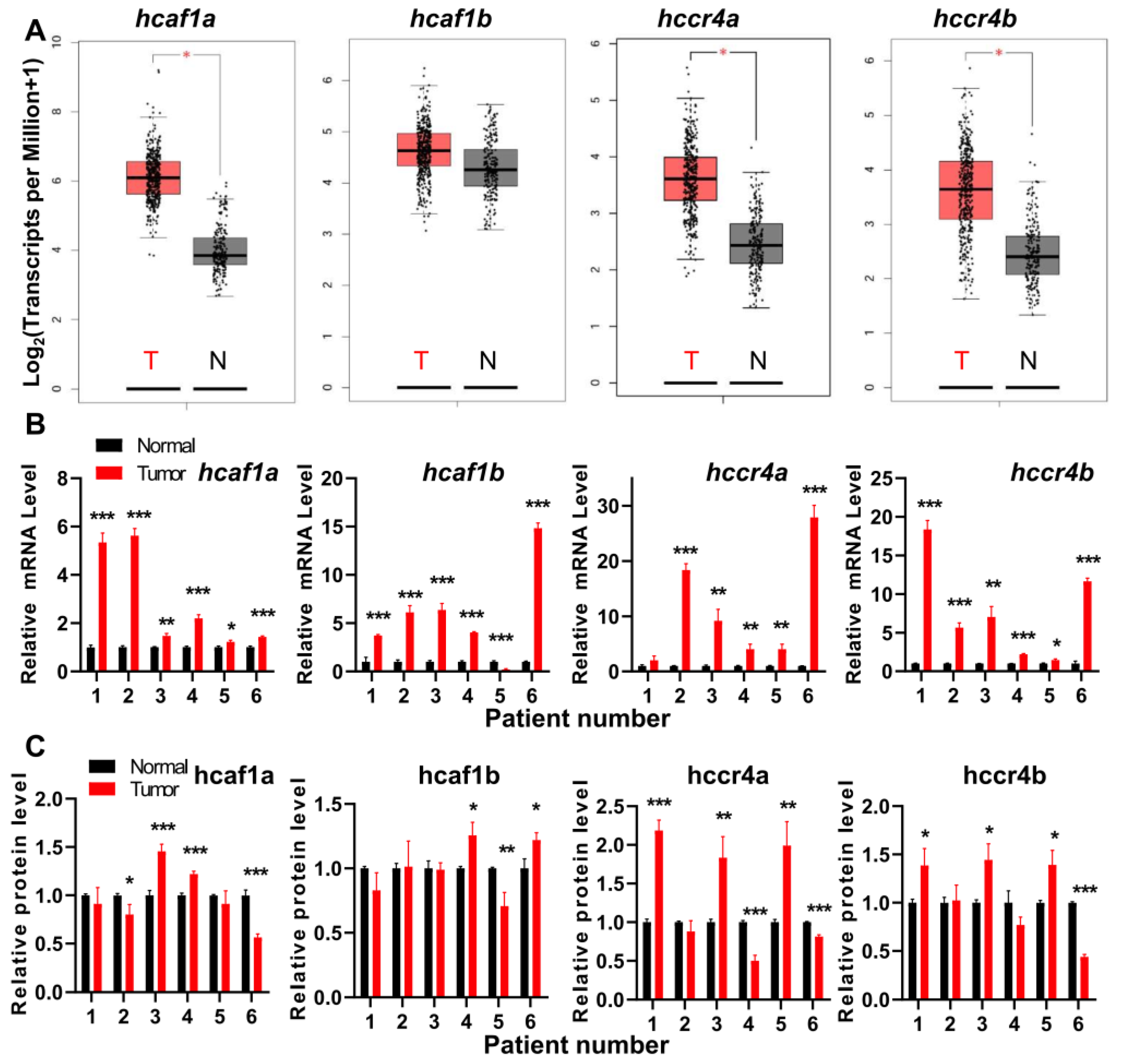 Cancers 13 00834 g001