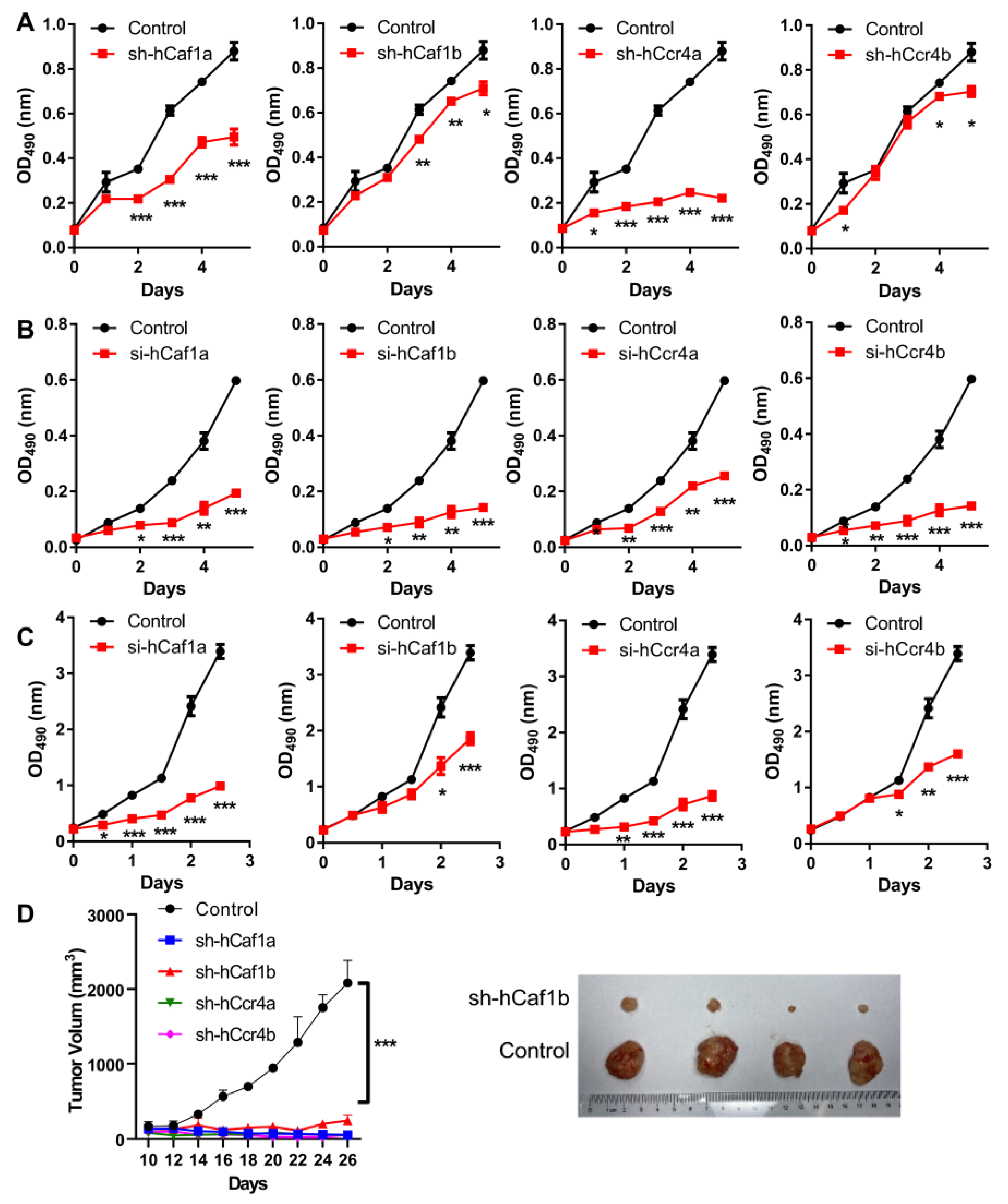 Cancers 13 00834 g002