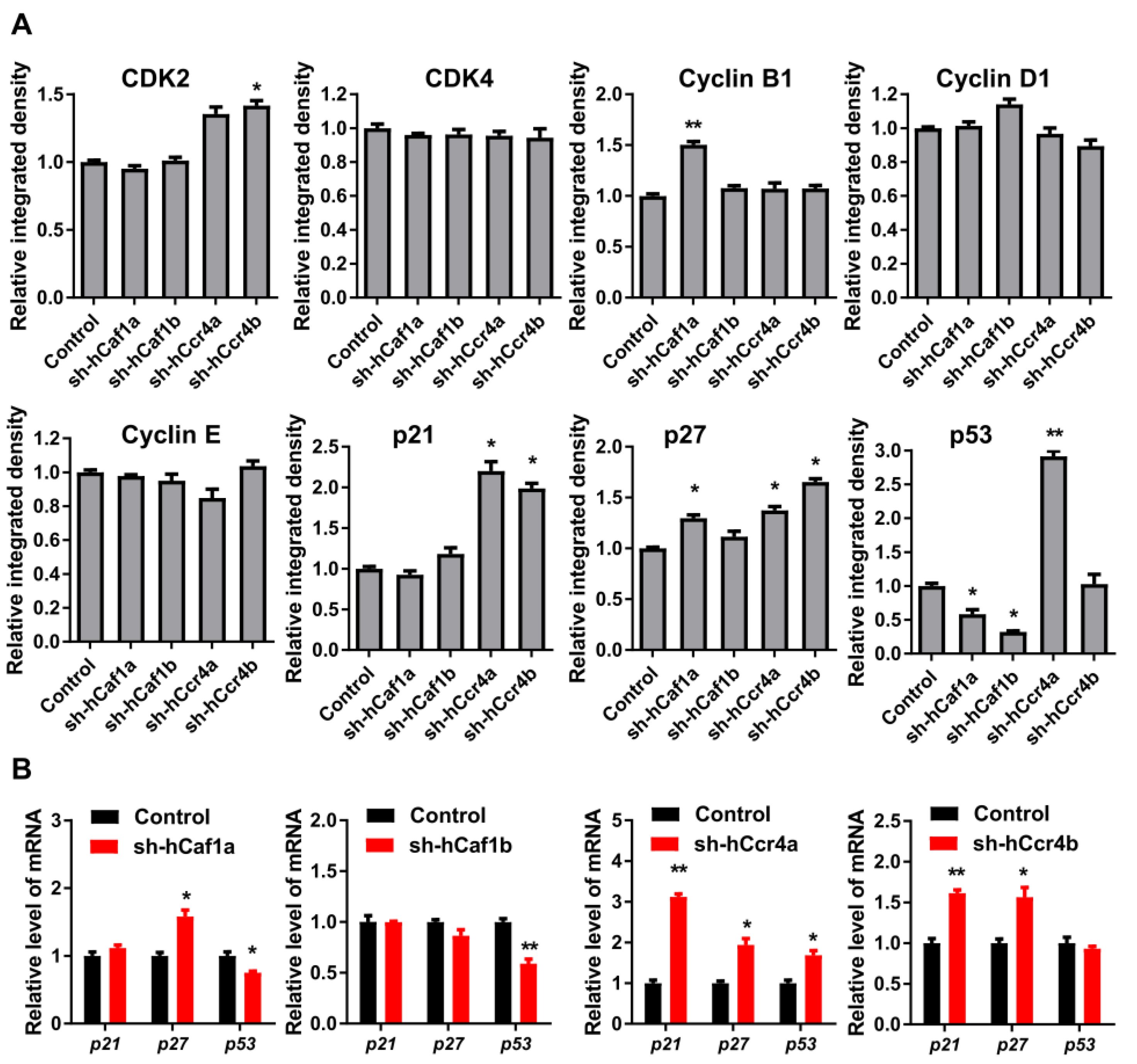 Cancers 13 00834 g004