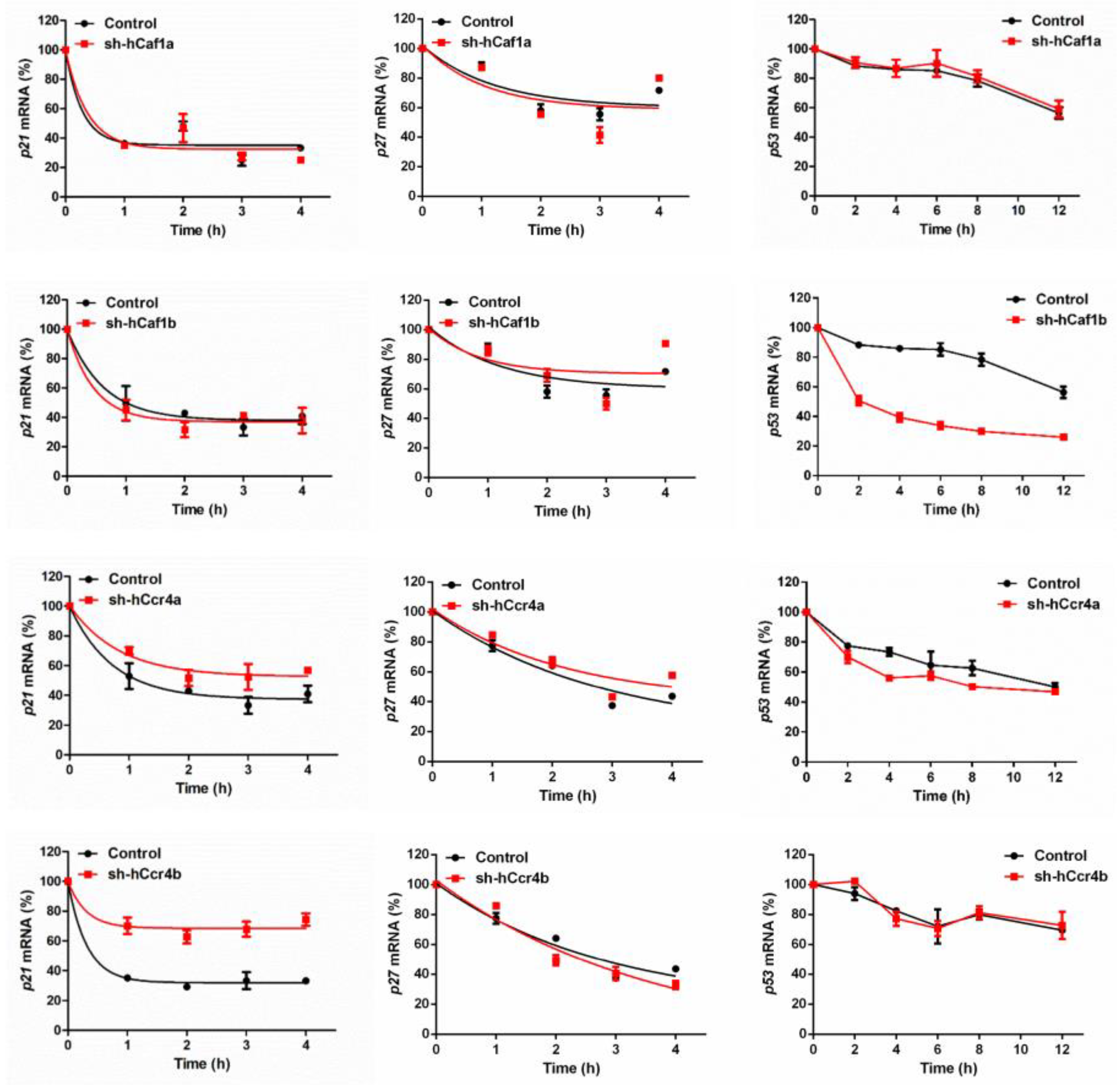 Cancers 13 00834 g005