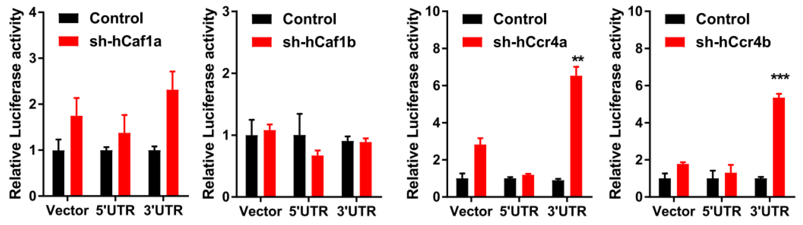 Cancers 13 00834 g006