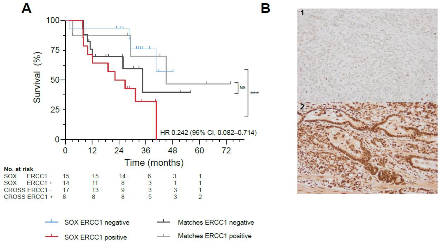 Cancers 13 00839 g002a Cancers 13 00839 g002a