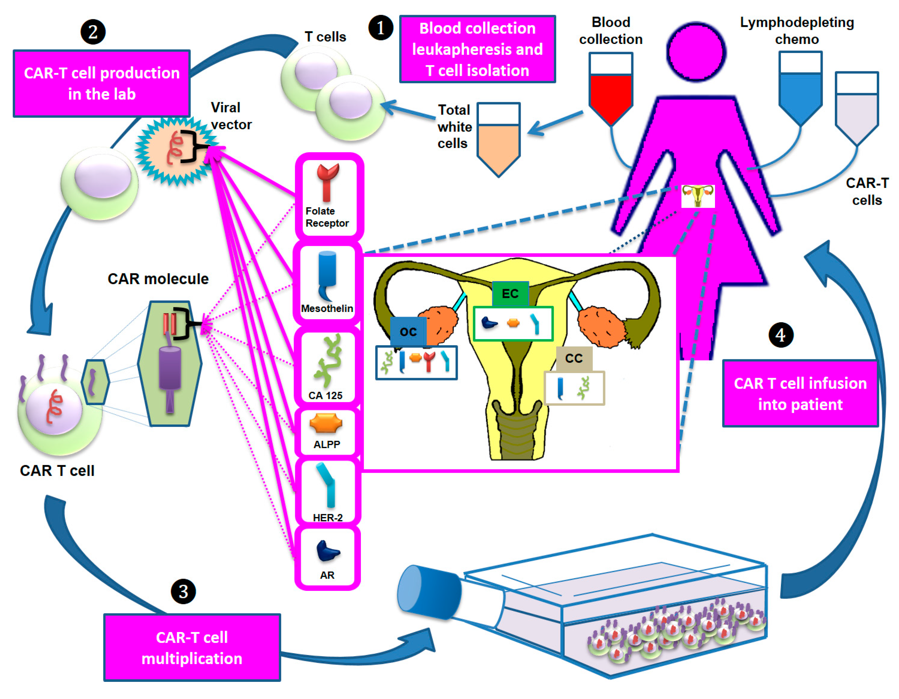 Cancers 13 00840 g001