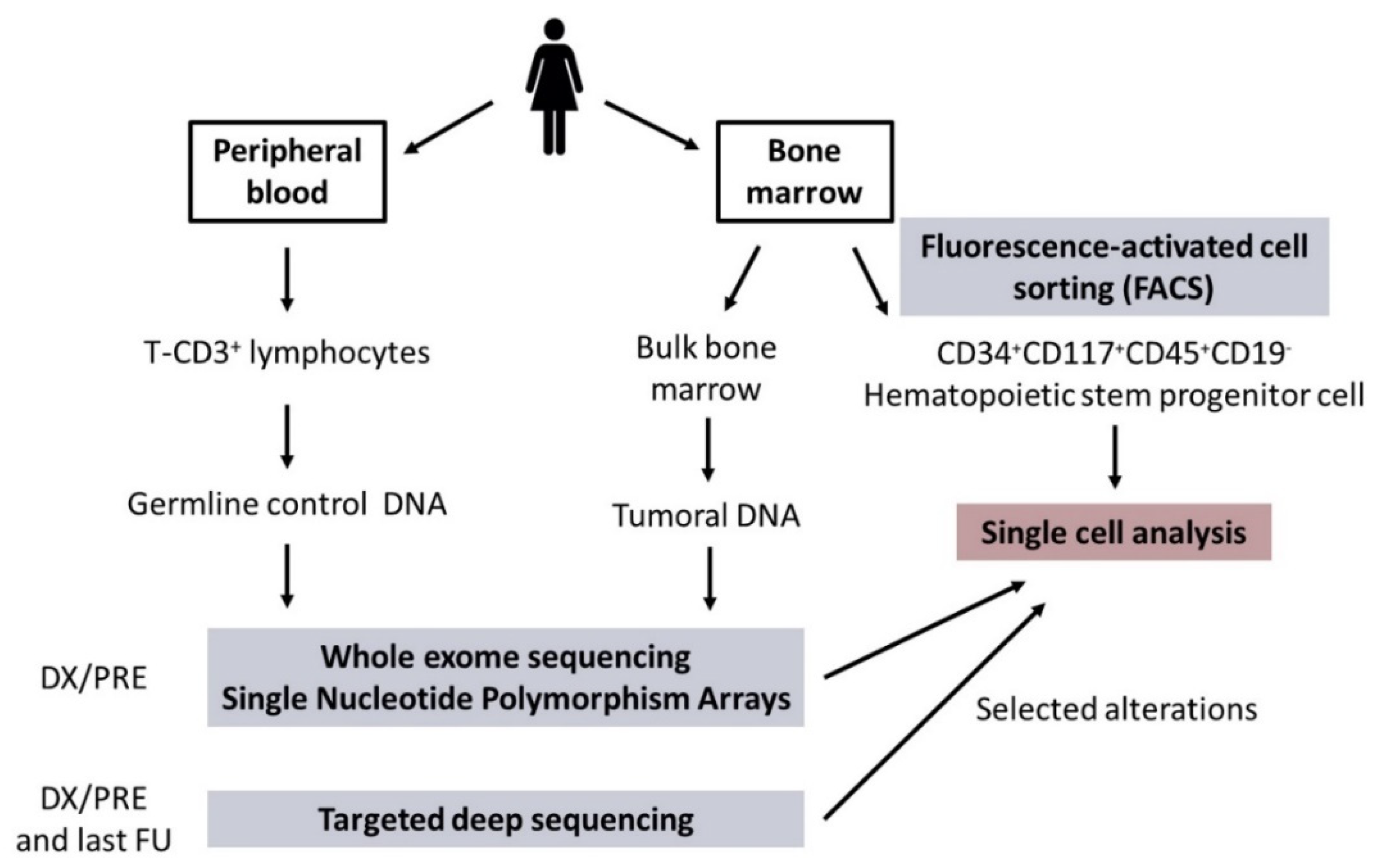 Cancers 13 00841 g001