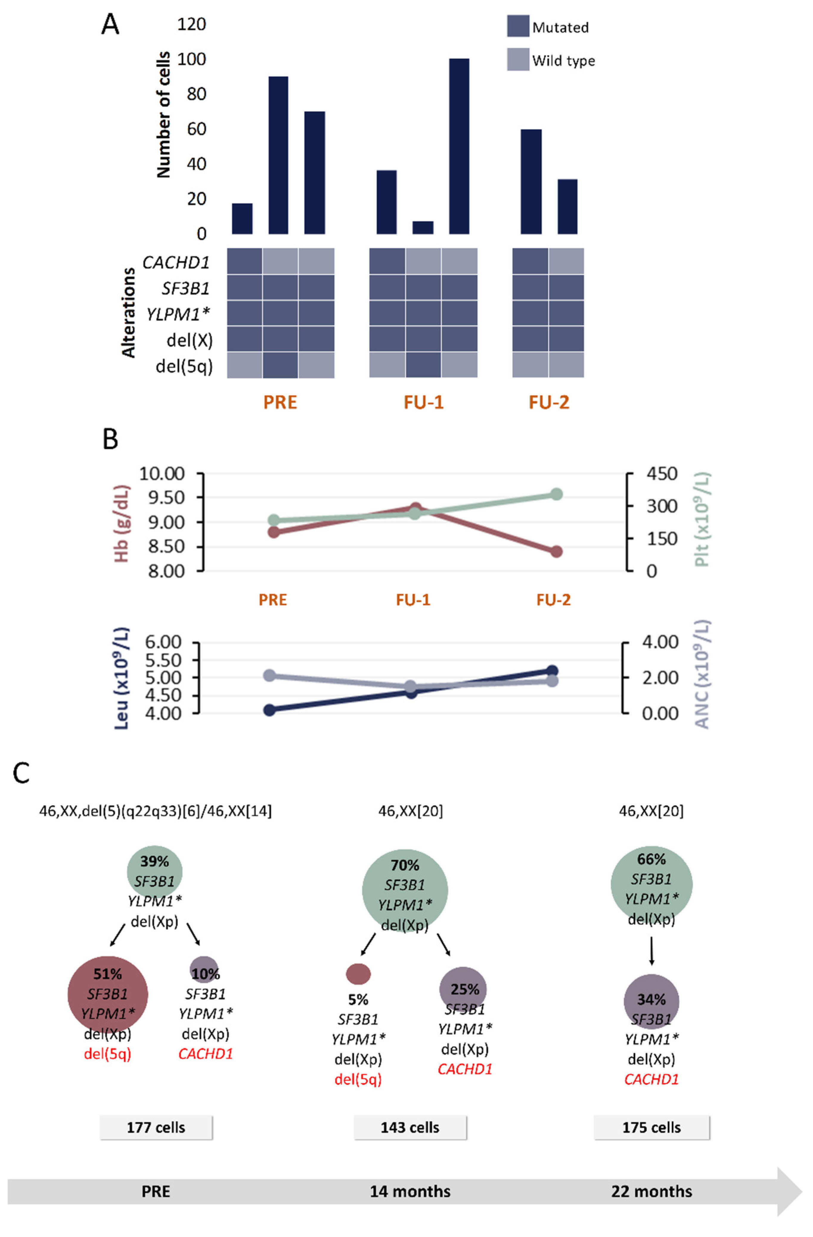 Cancers 13 00841 g003