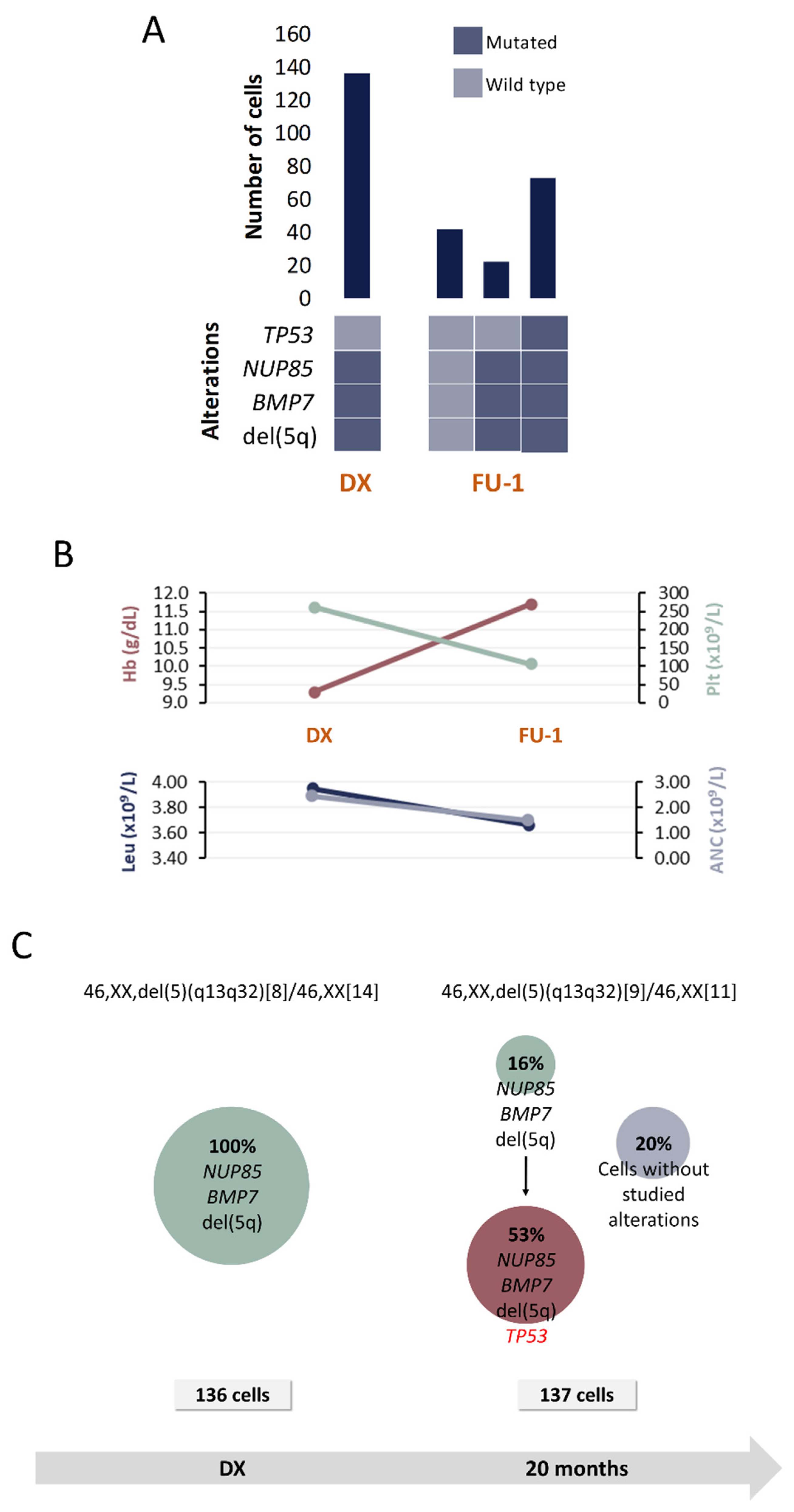 Cancers 13 00841 g005