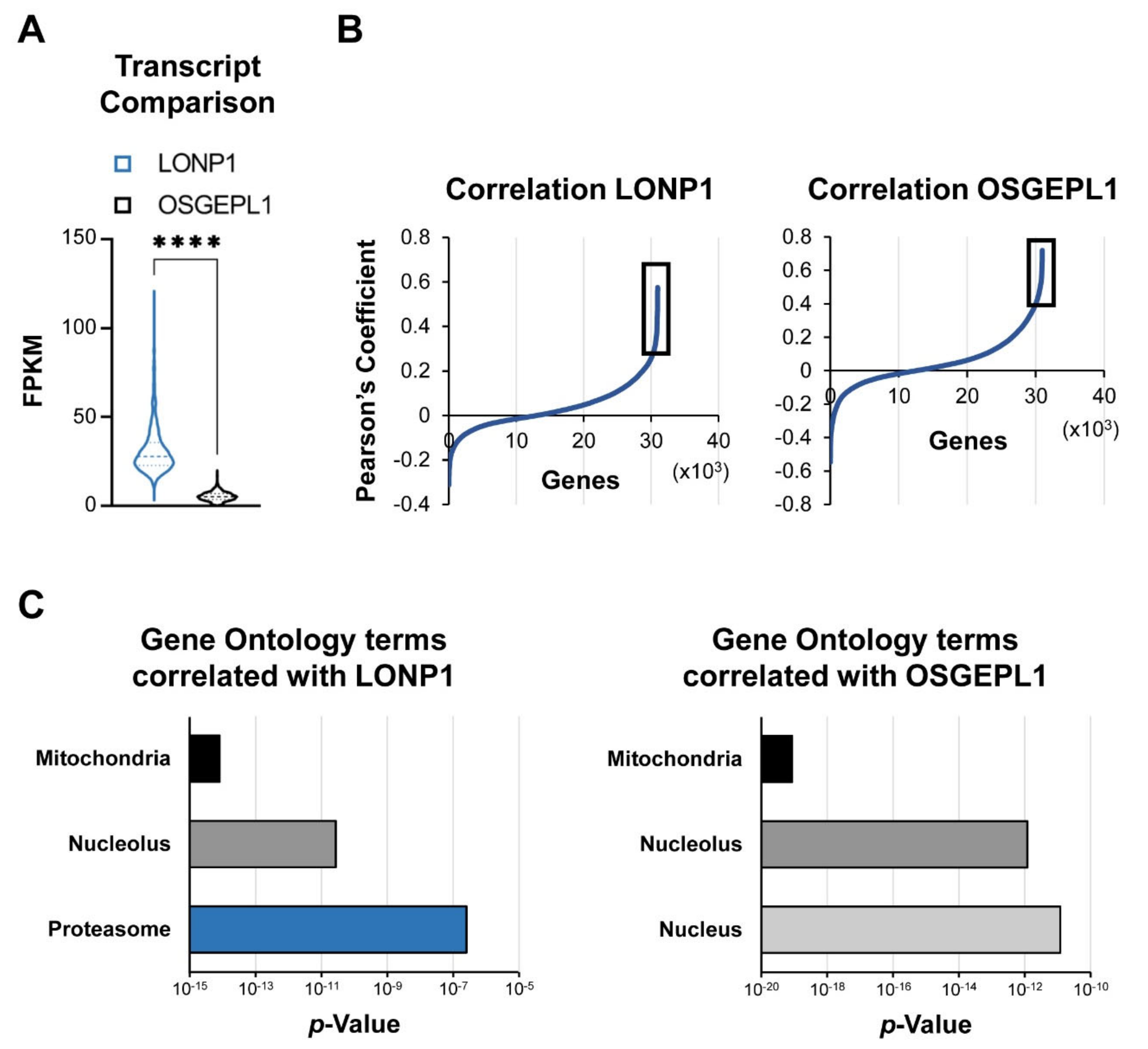 Cancers 13 00843 g002