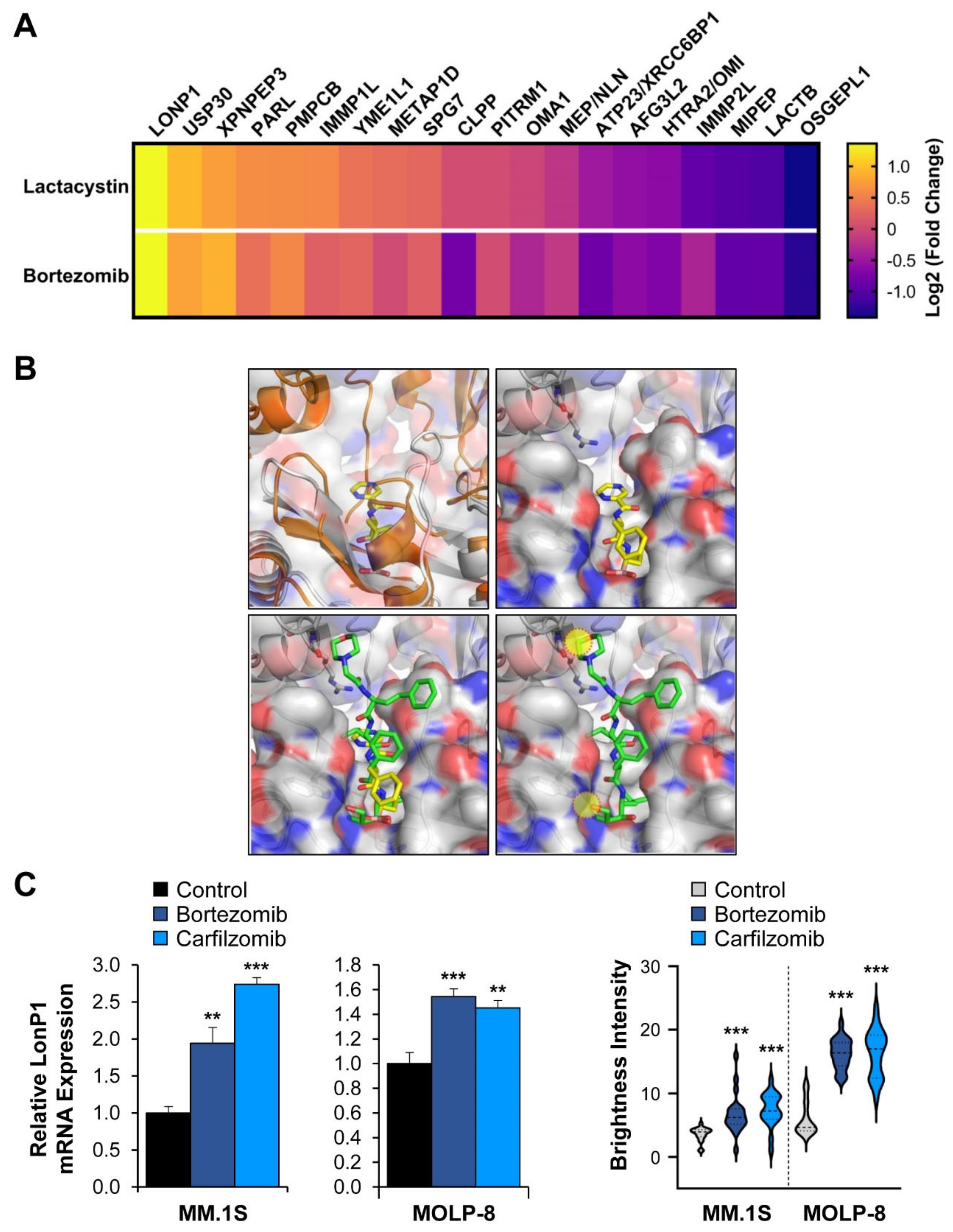 Cancers 13 00843 g003a
