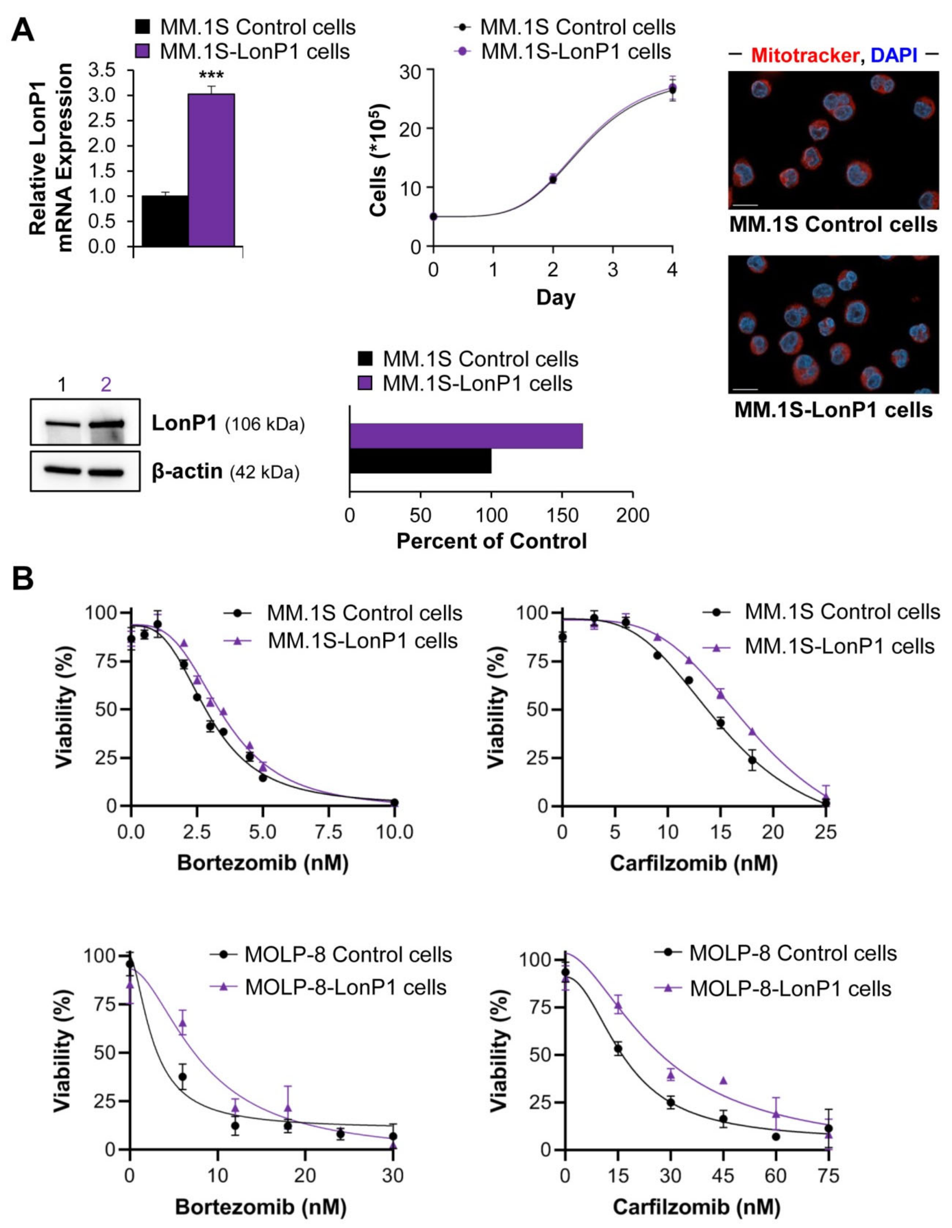 Cancers 13 00843 g005a