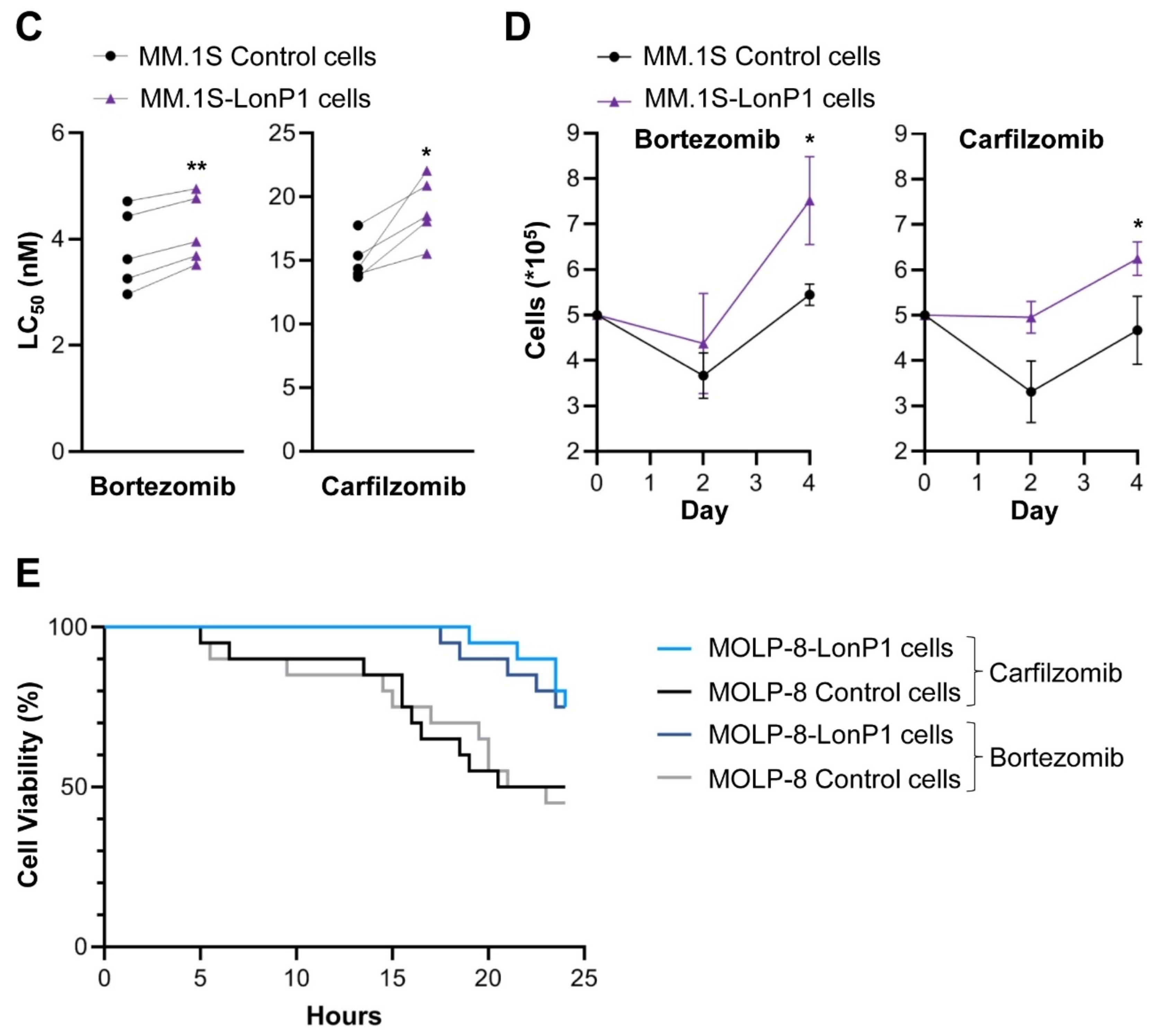 Cancers 13 00843 g005b