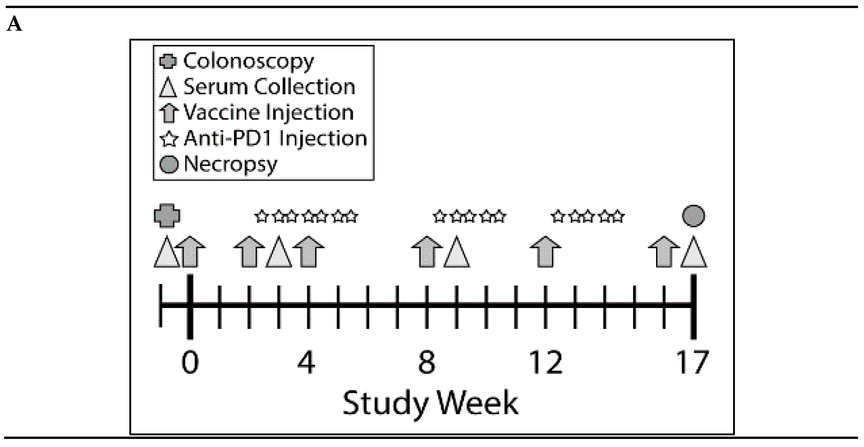 Cancers 13 00845 g003a