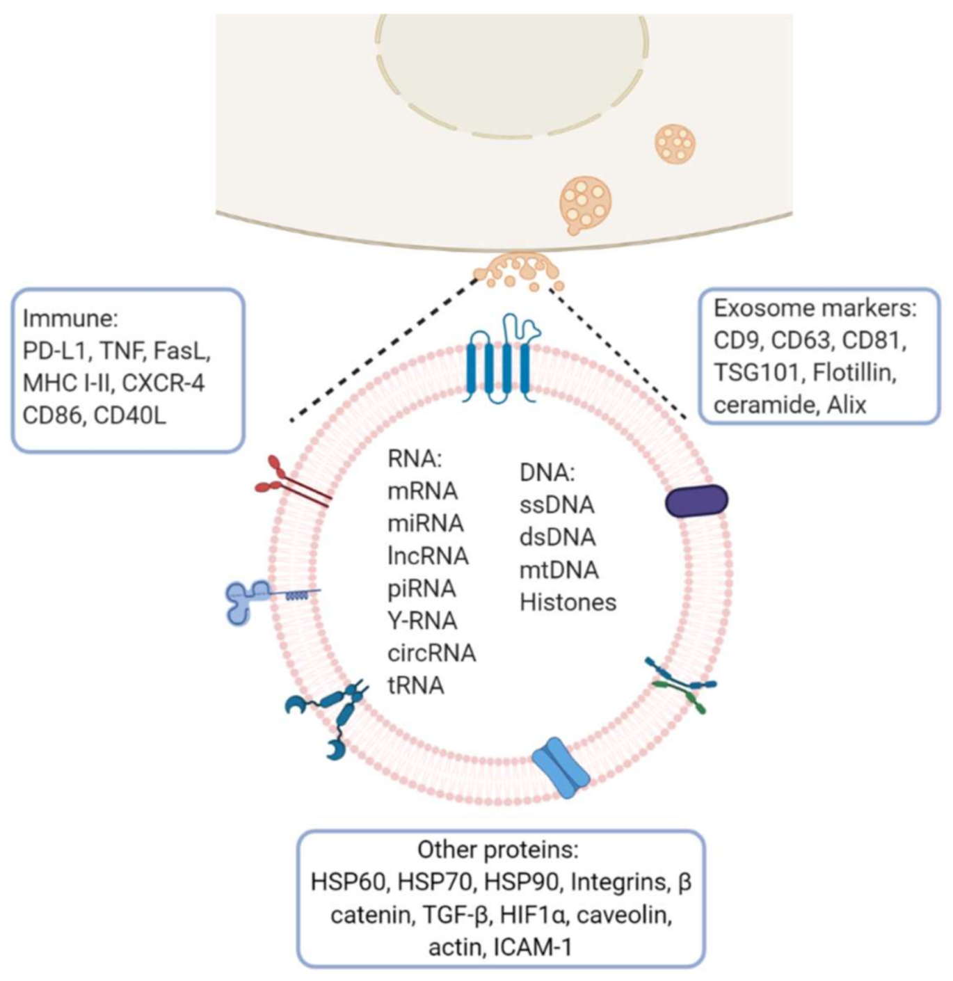 Cancers 13 00847 g002