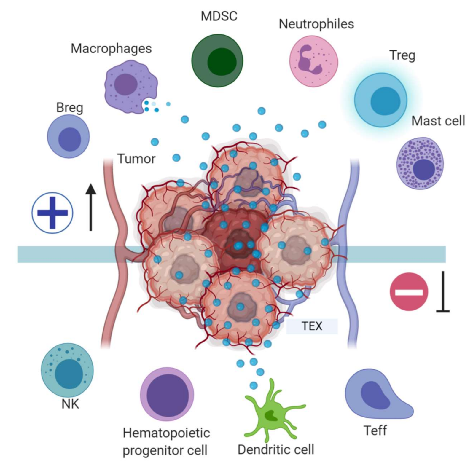 Cancers 13 00847 g003