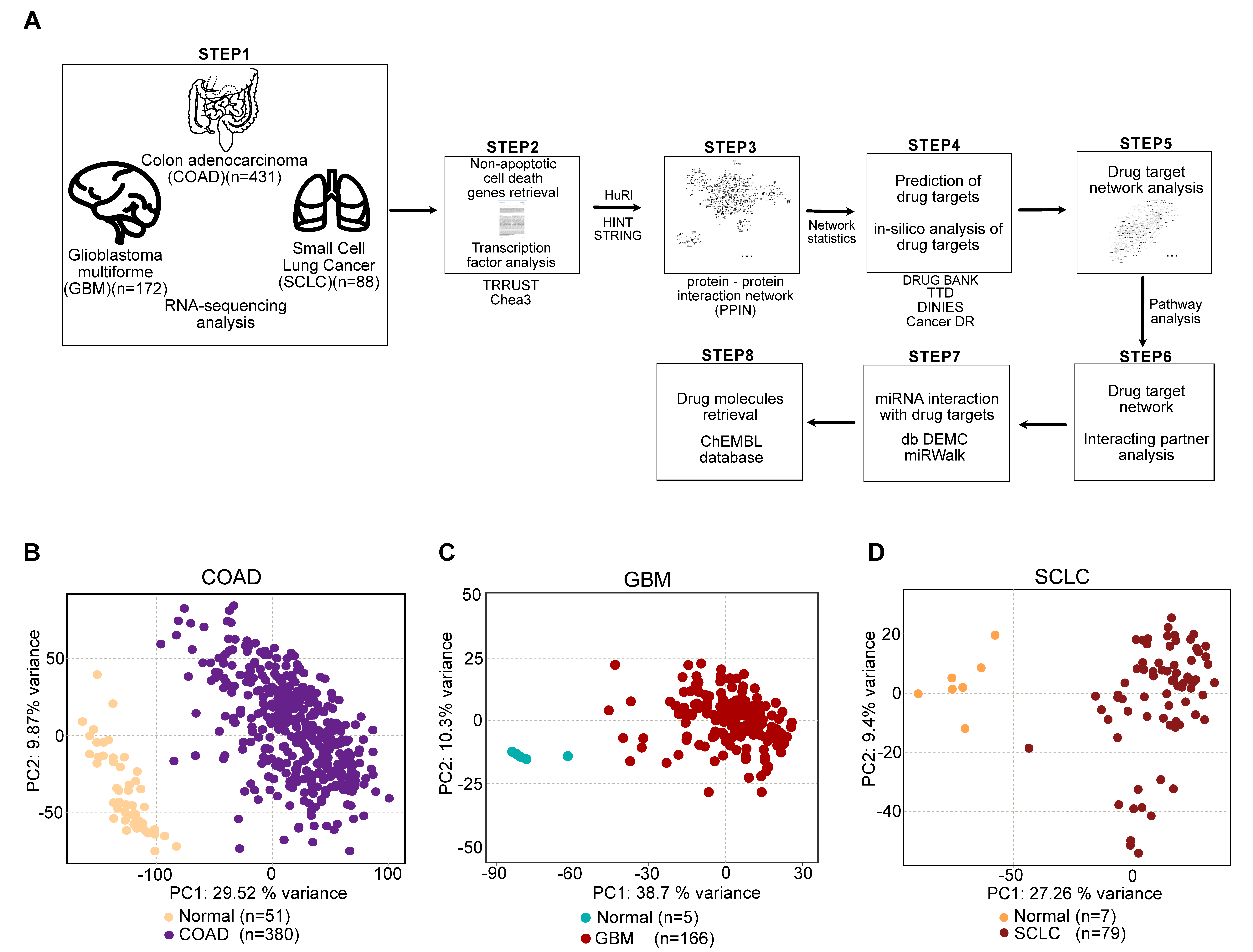 Cancers 13 00851 g001