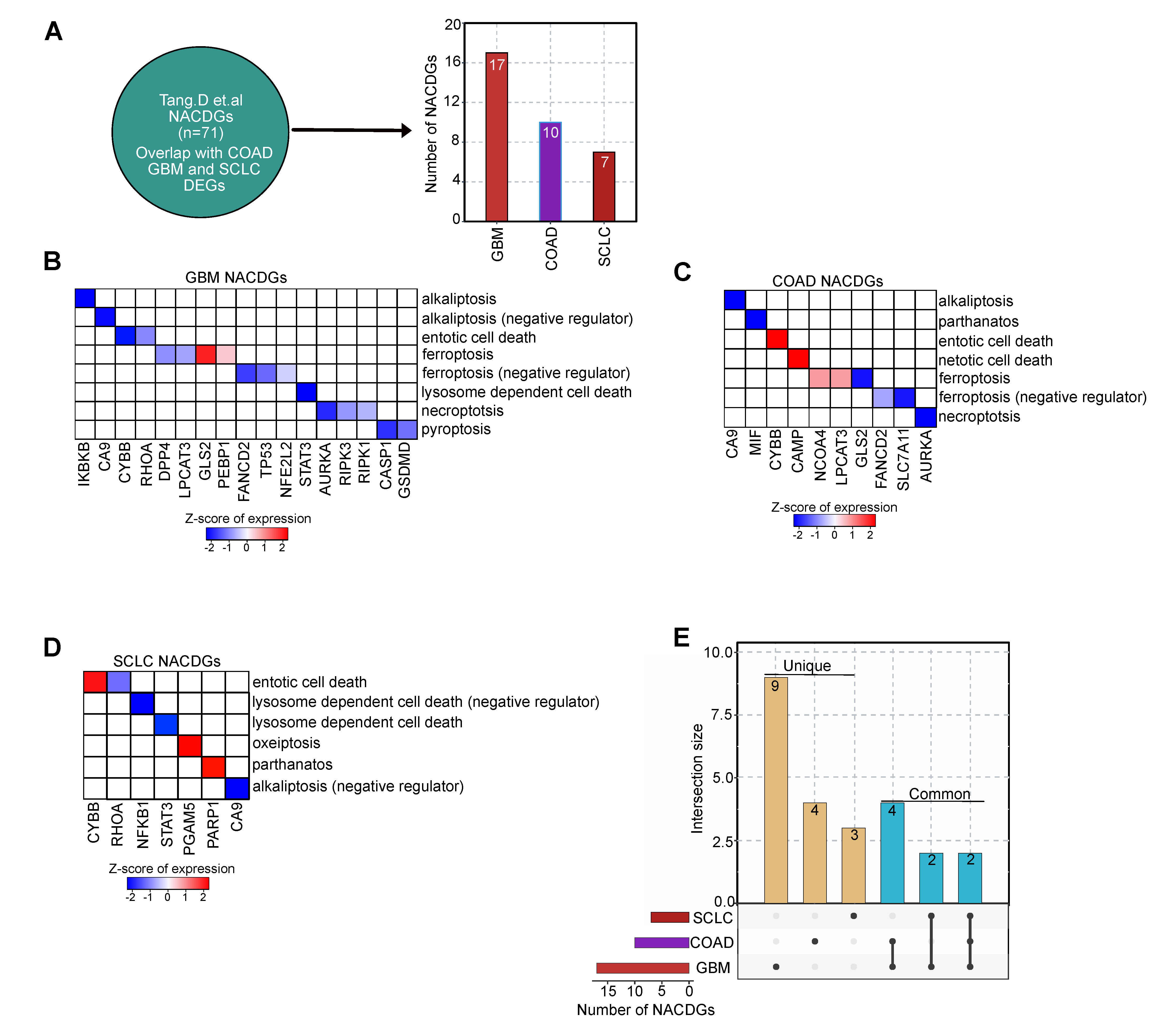 Cancers 13 00851 g002