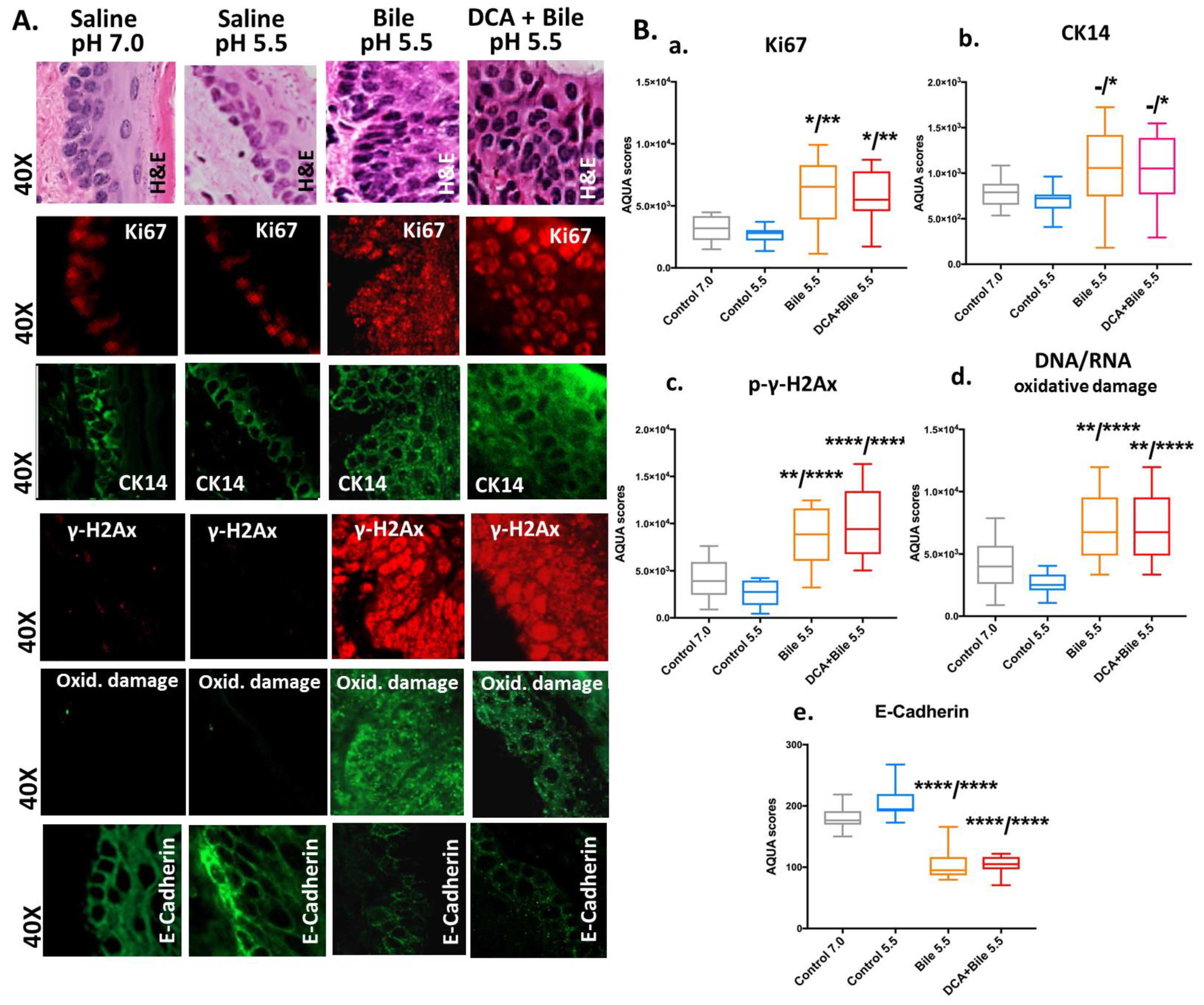 Cancers 13 00852 g002