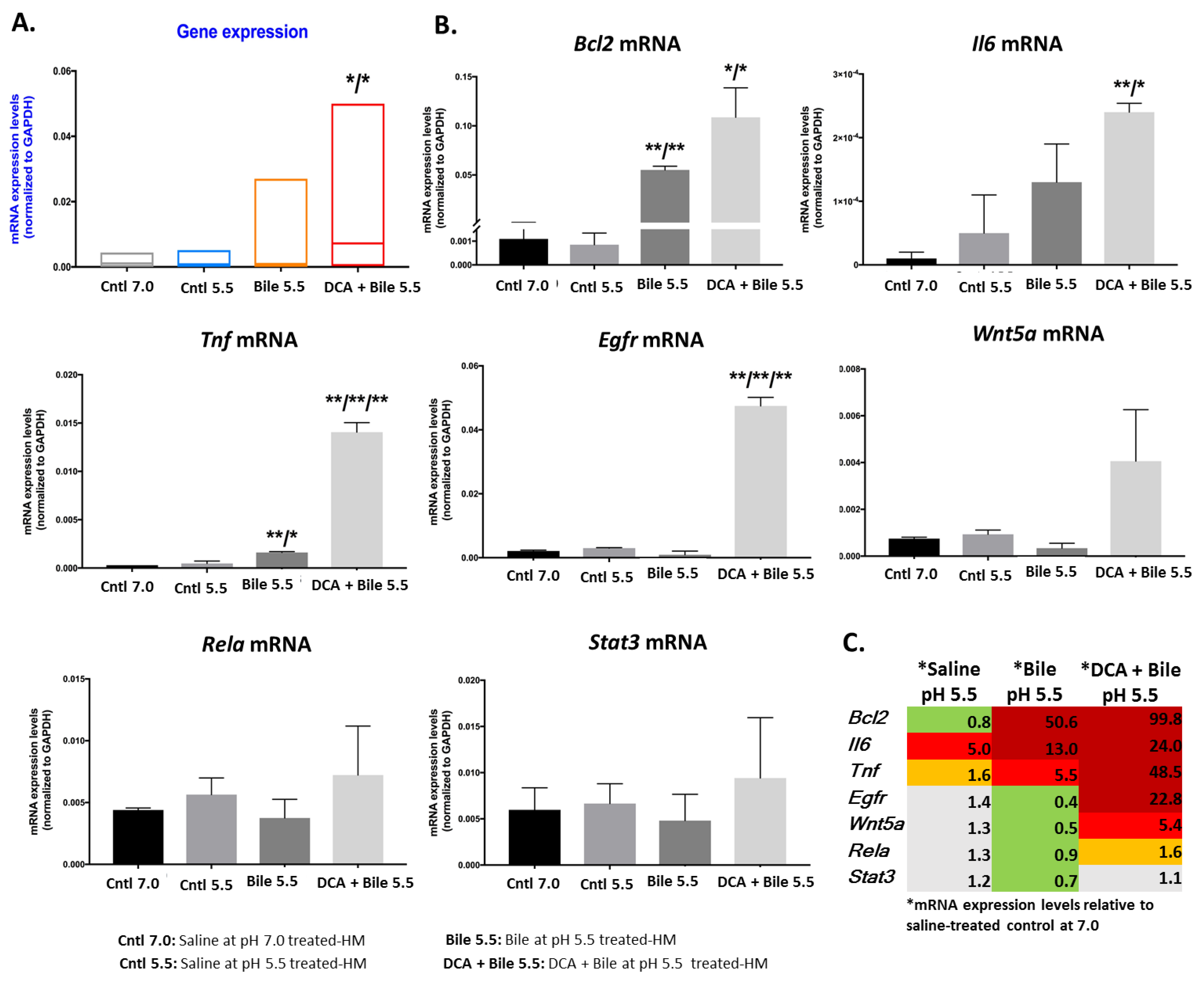 Cancers 13 00852 g004