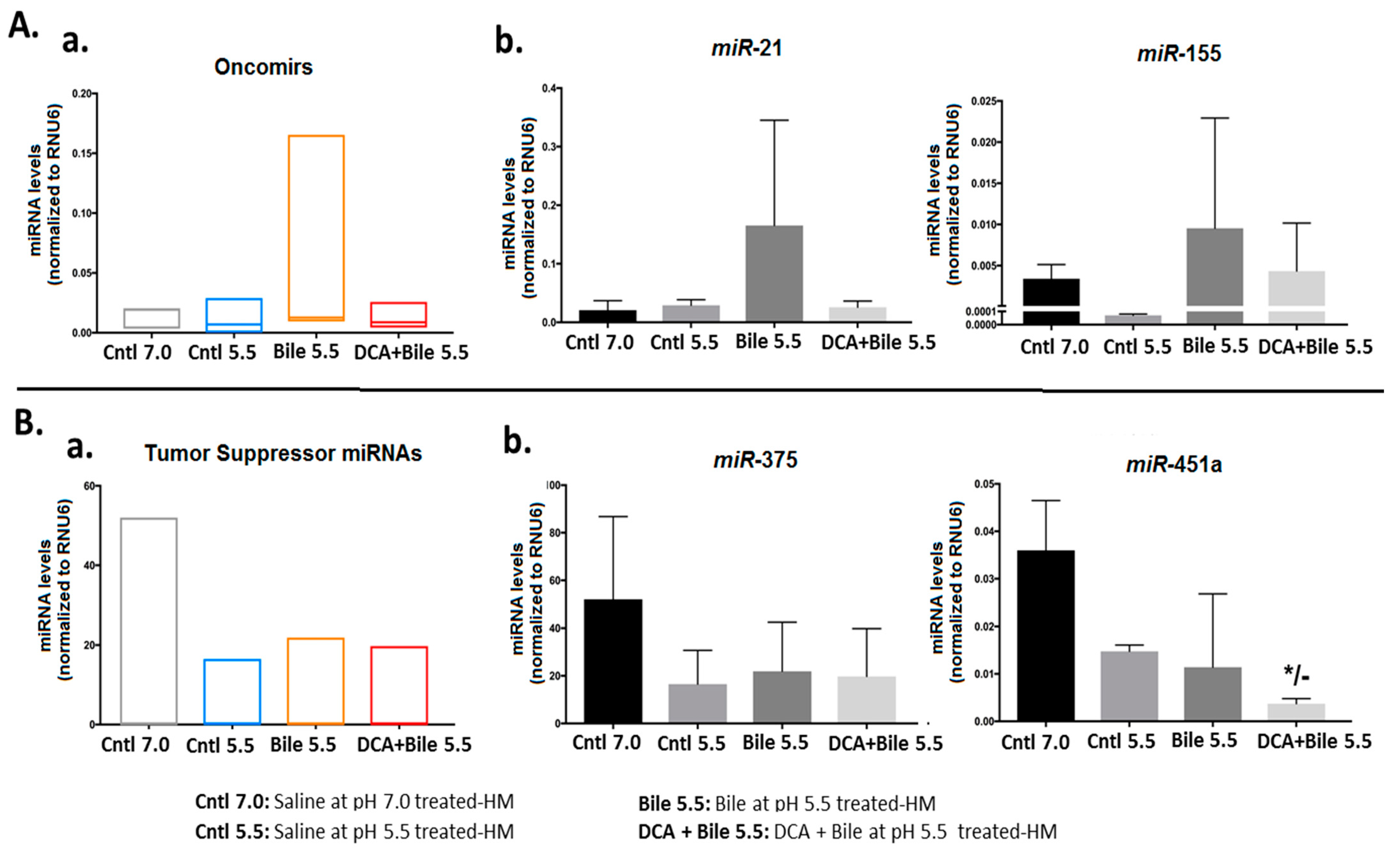 Cancers 13 00852 g005