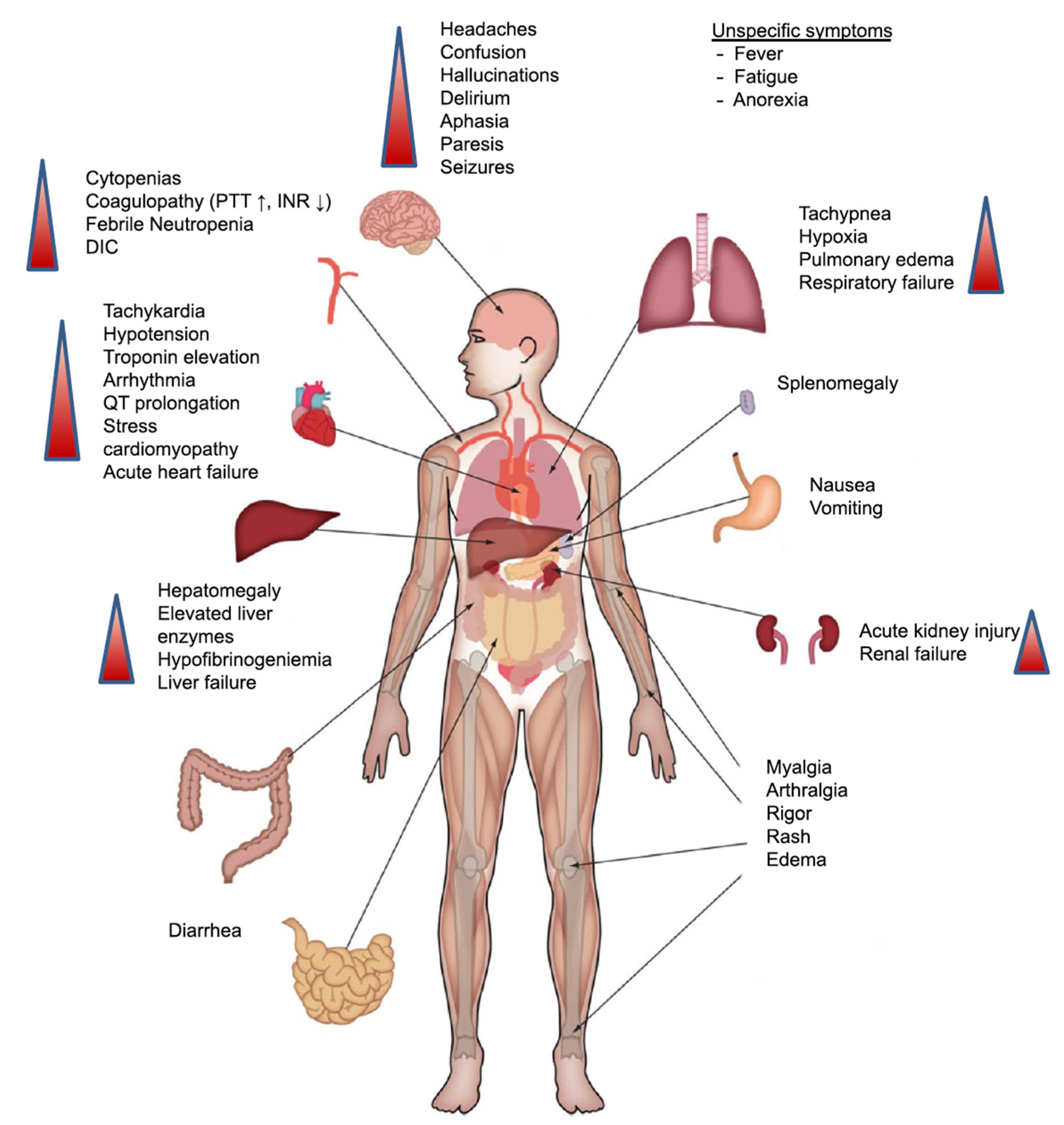 Cancers 13 00853 g002