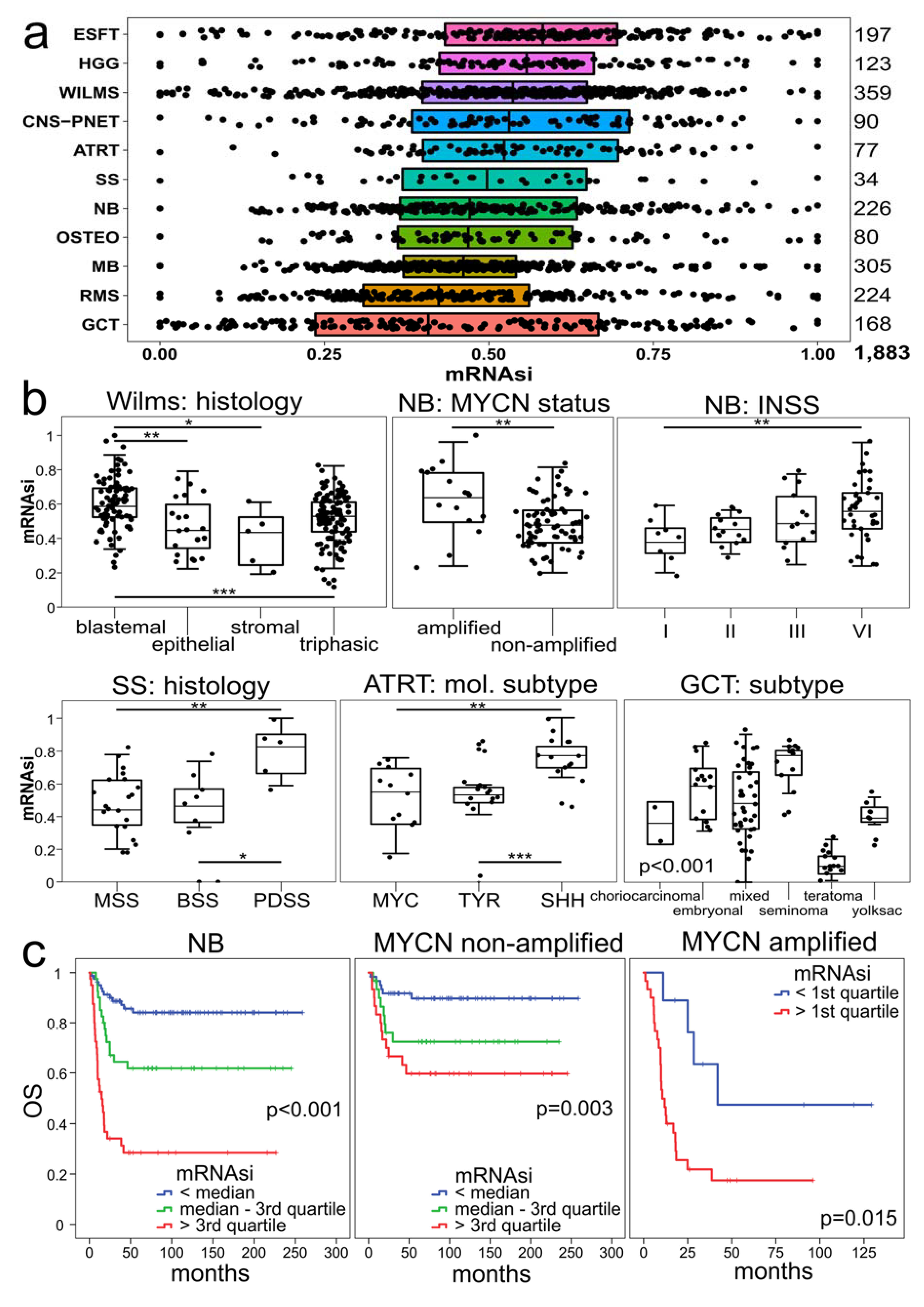 Cancers 13 00854 g003