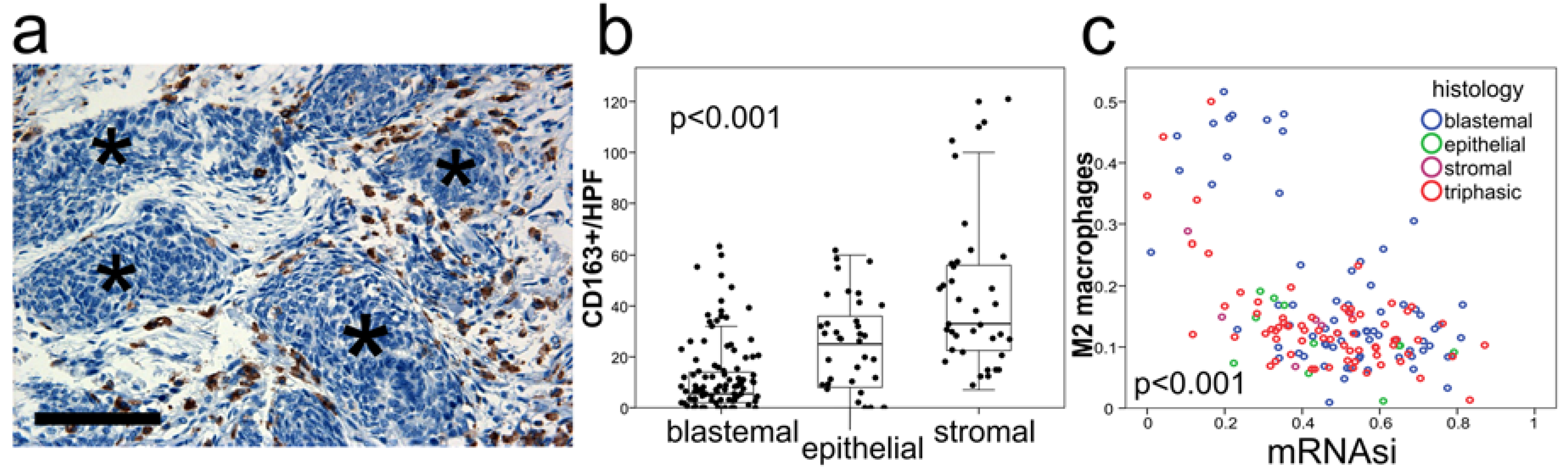Cancers 13 00854 g004
