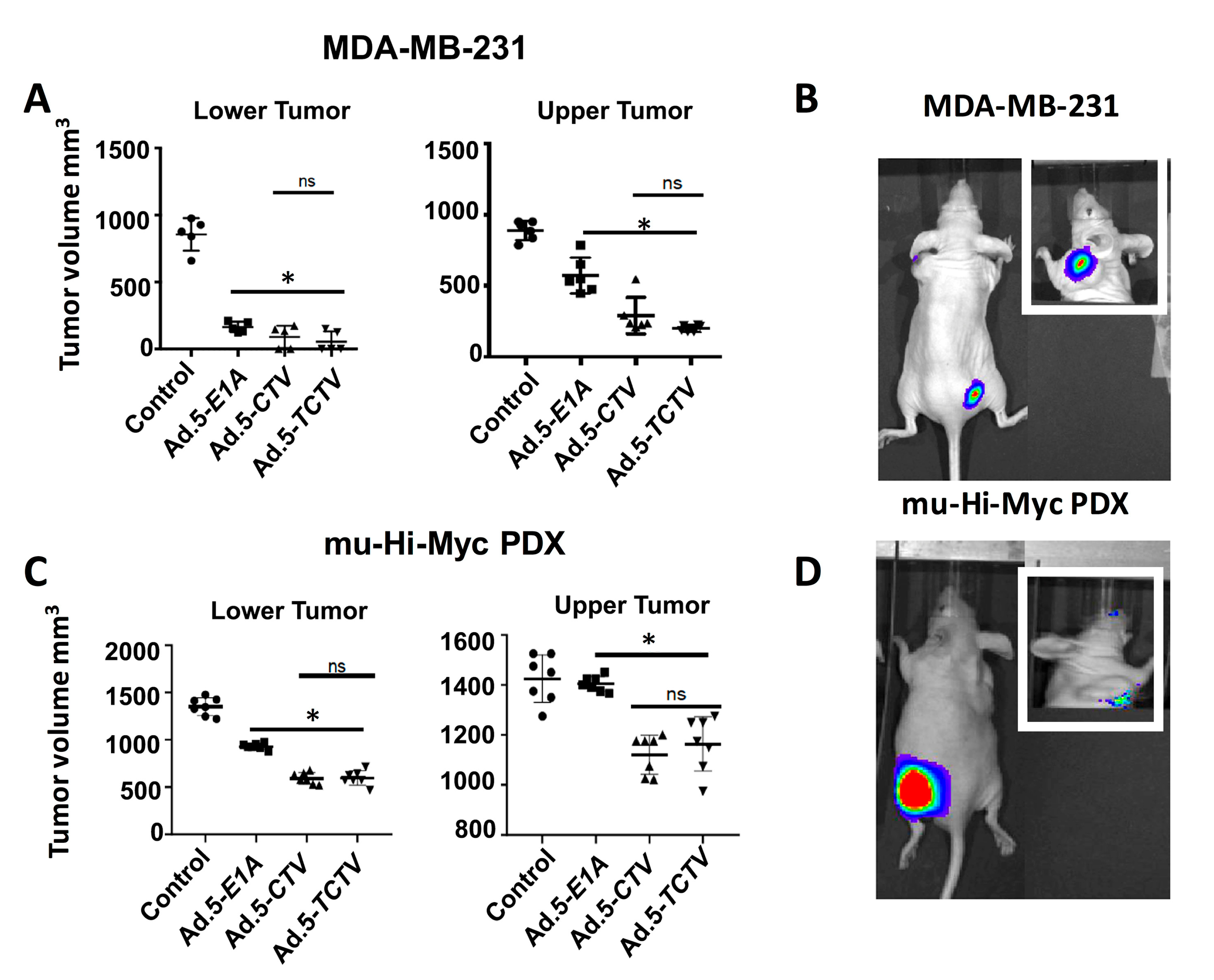 Cancers 13 00857 g005