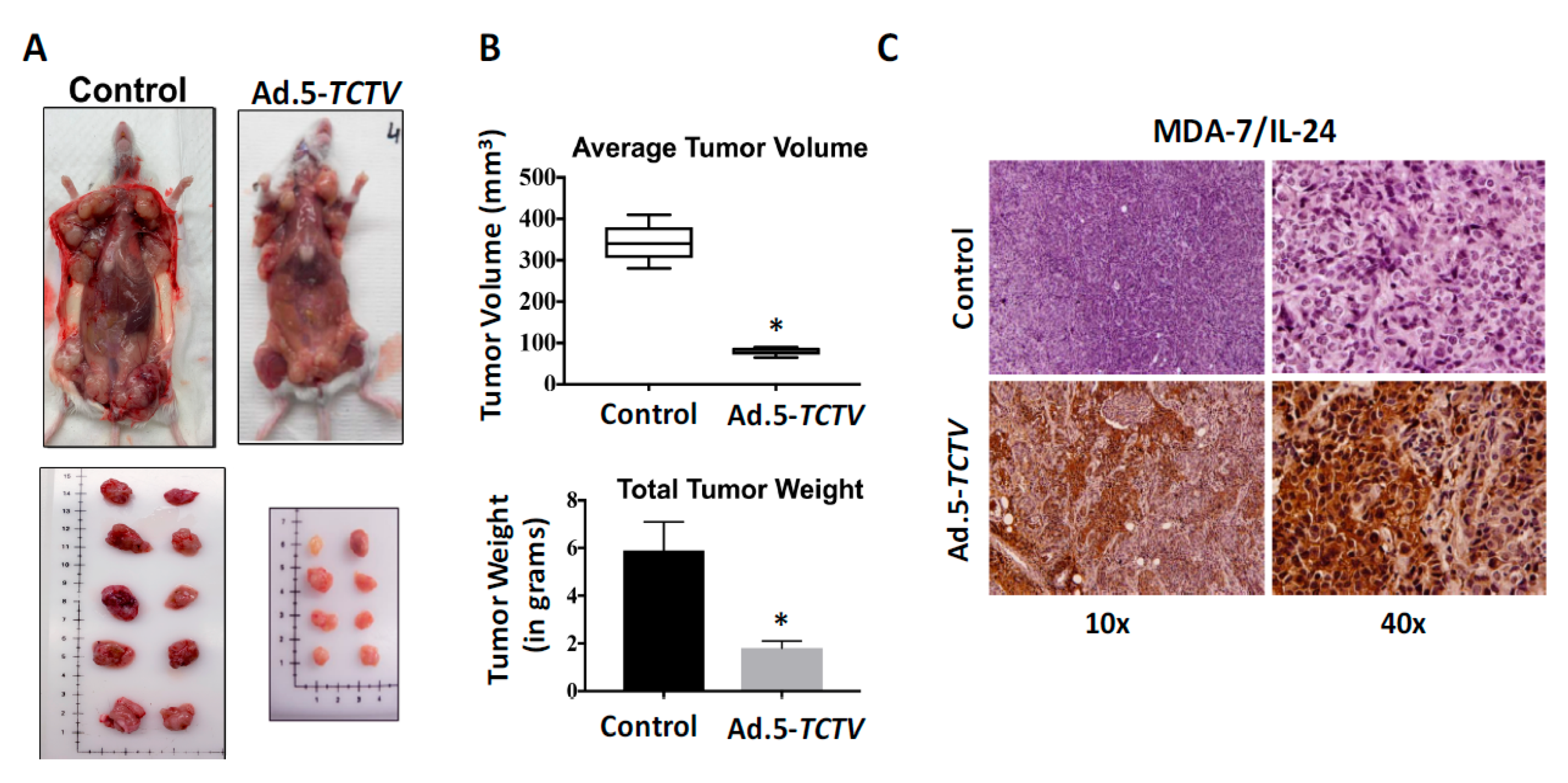 Cancers 13 00857 g006