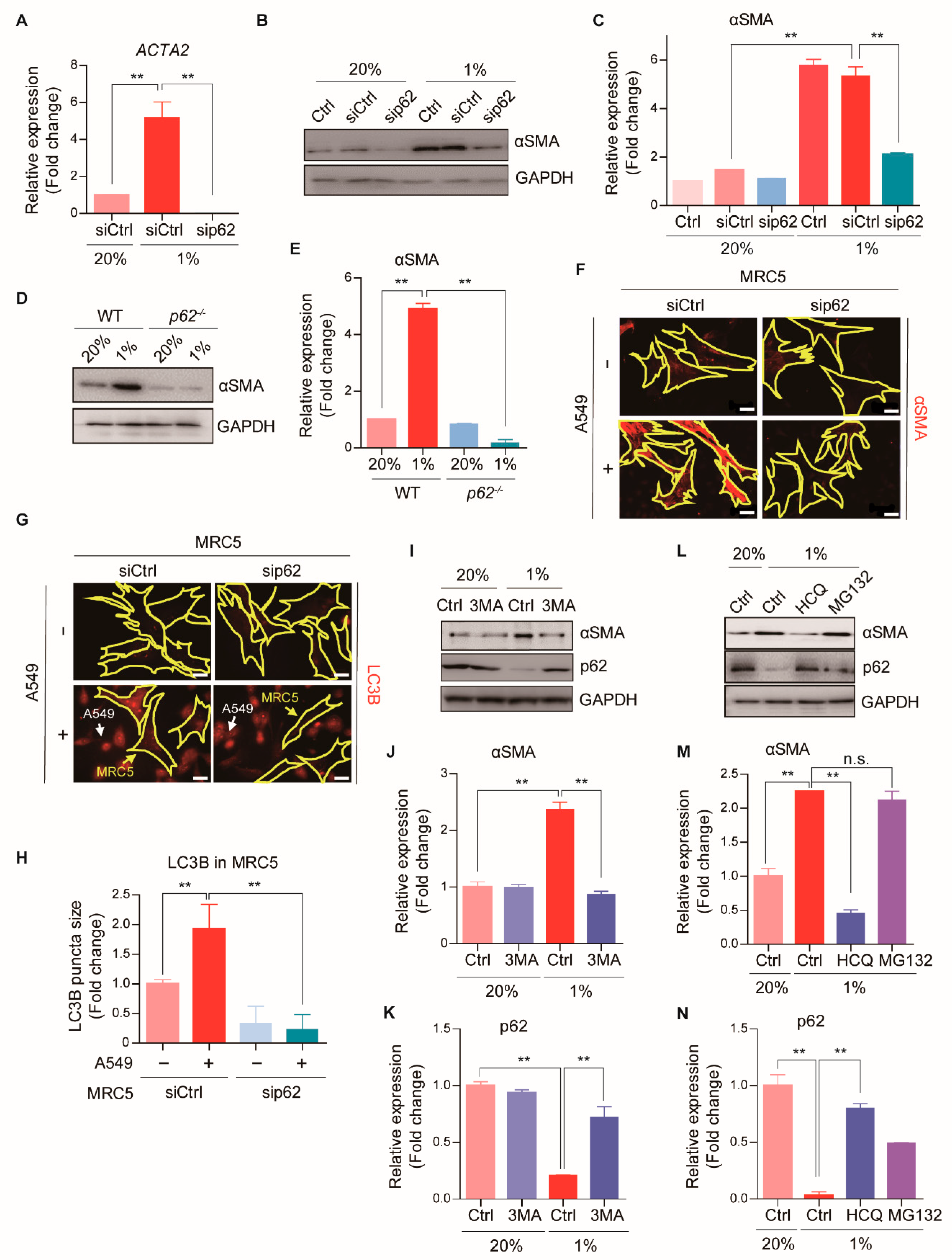 Cancers 13 00864 g002