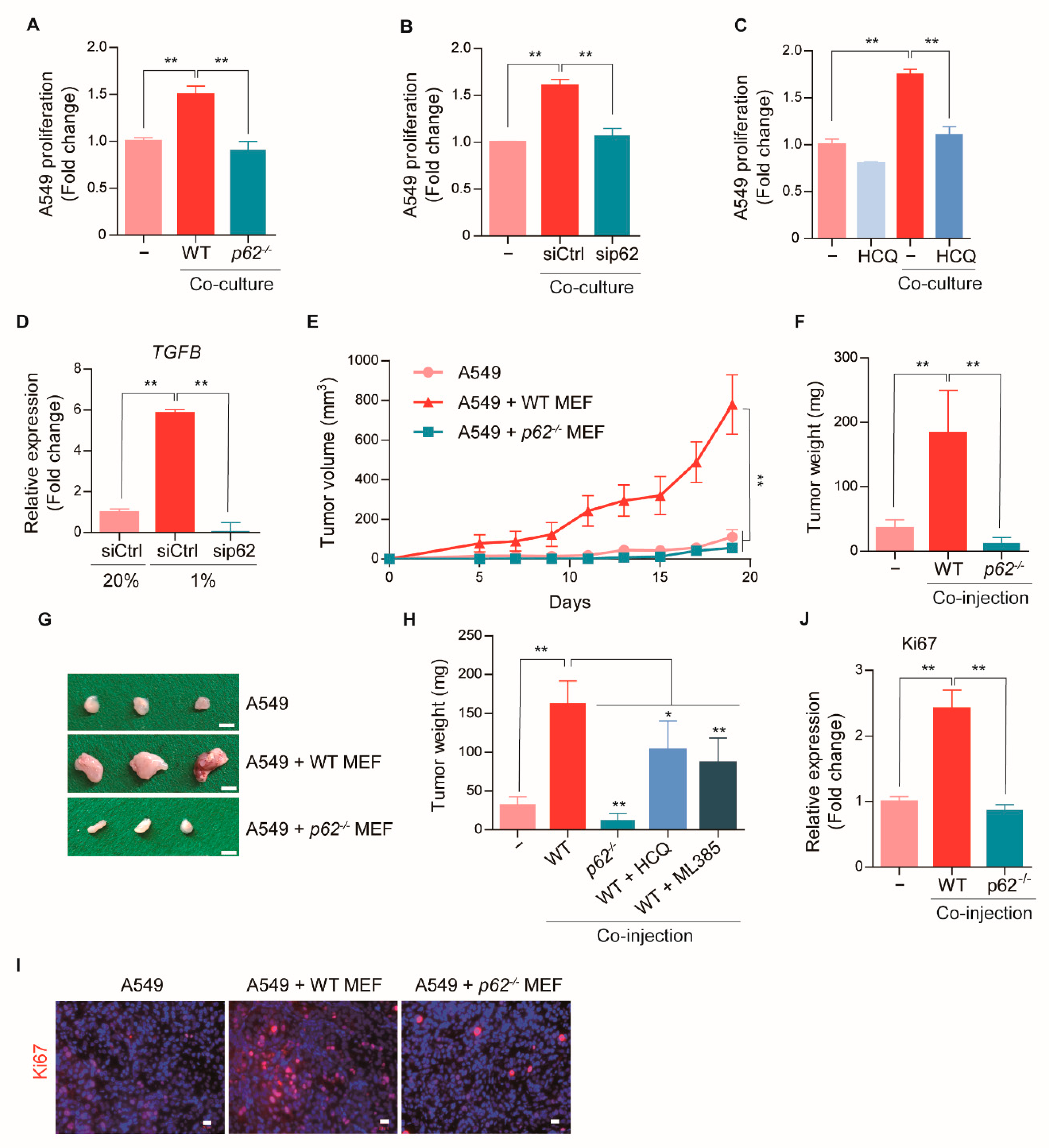 Cancers 13 00864 g003