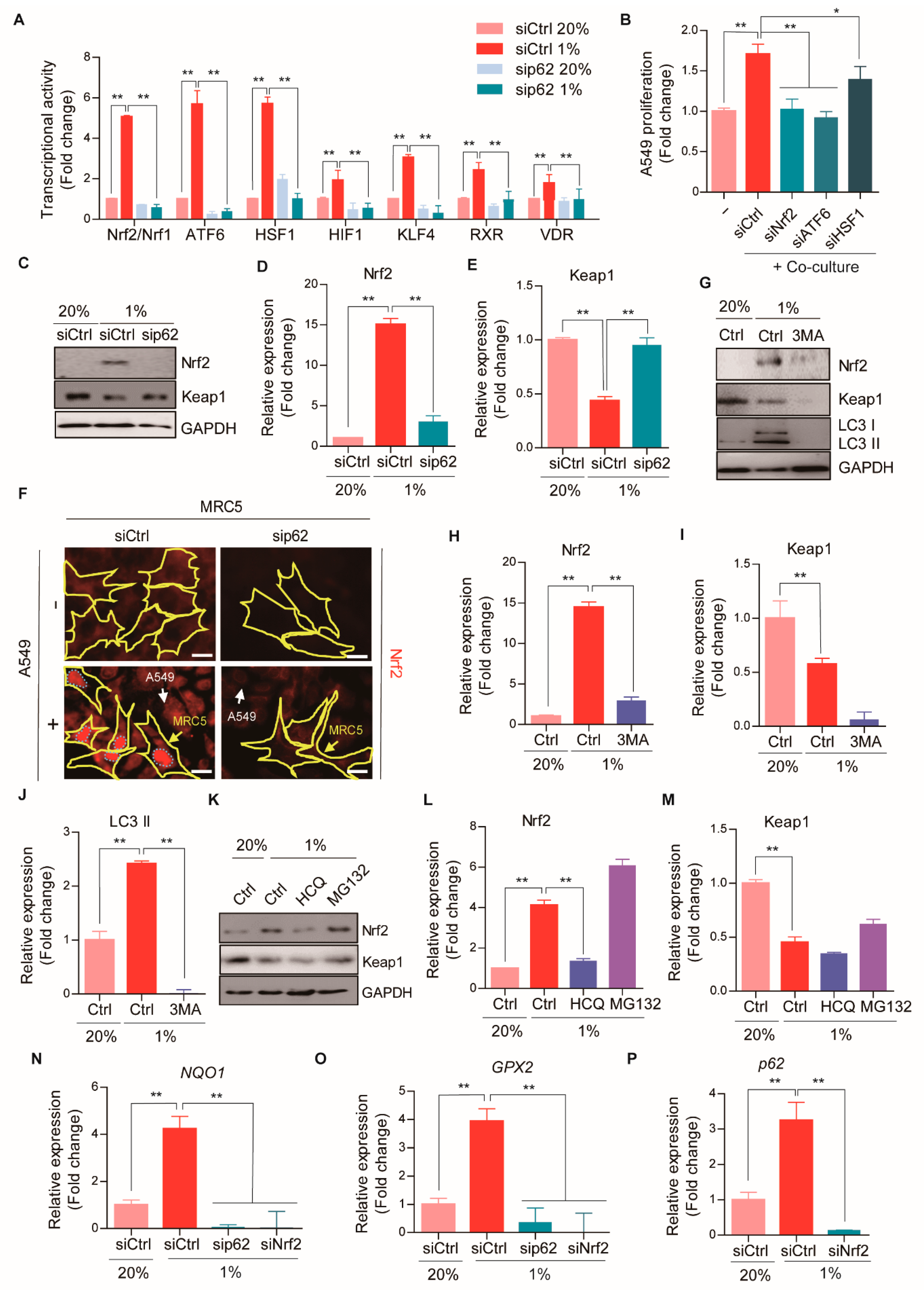 Cancers 13 00864 g004
