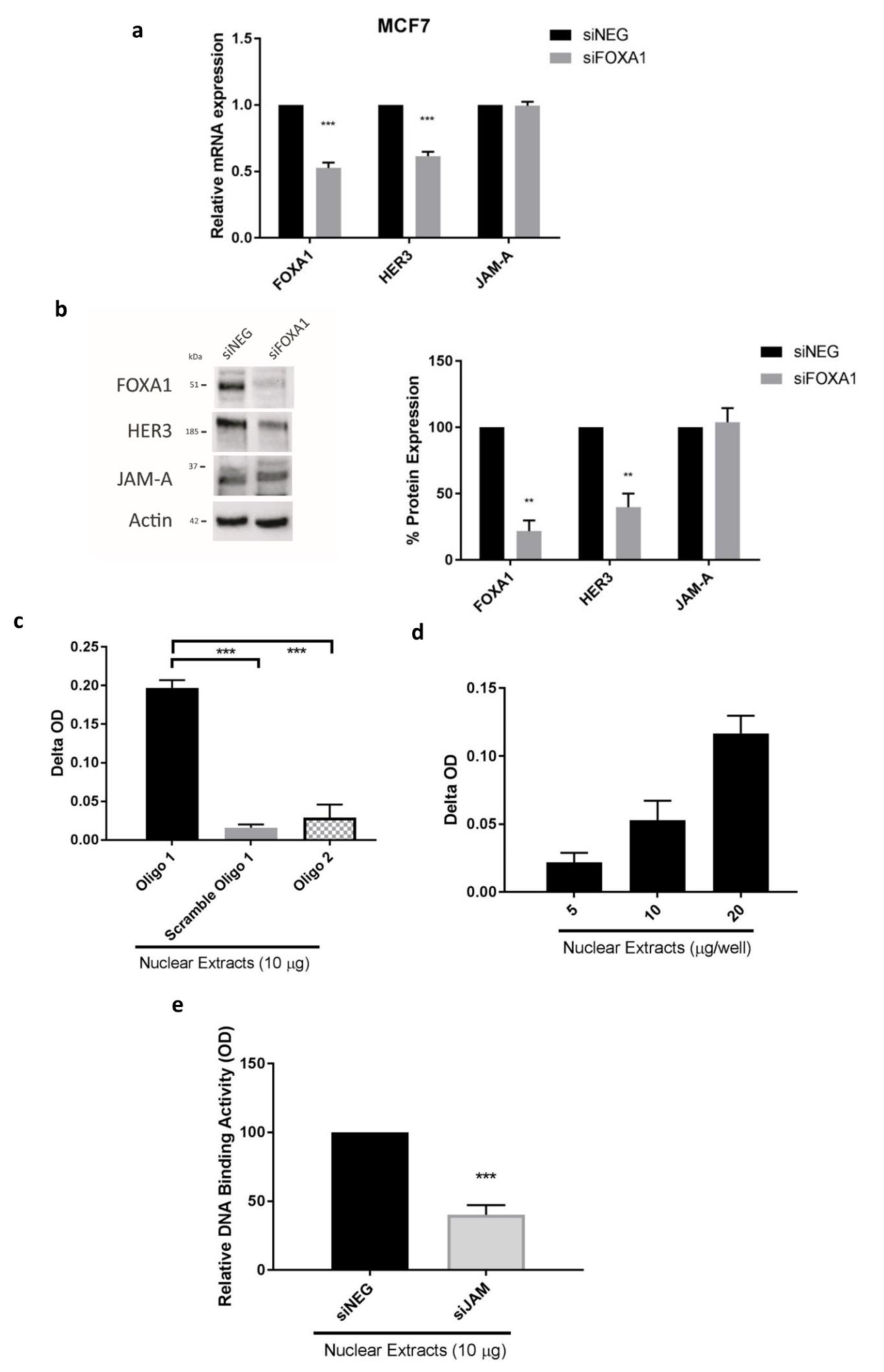 Cancers 13 00871 g004
