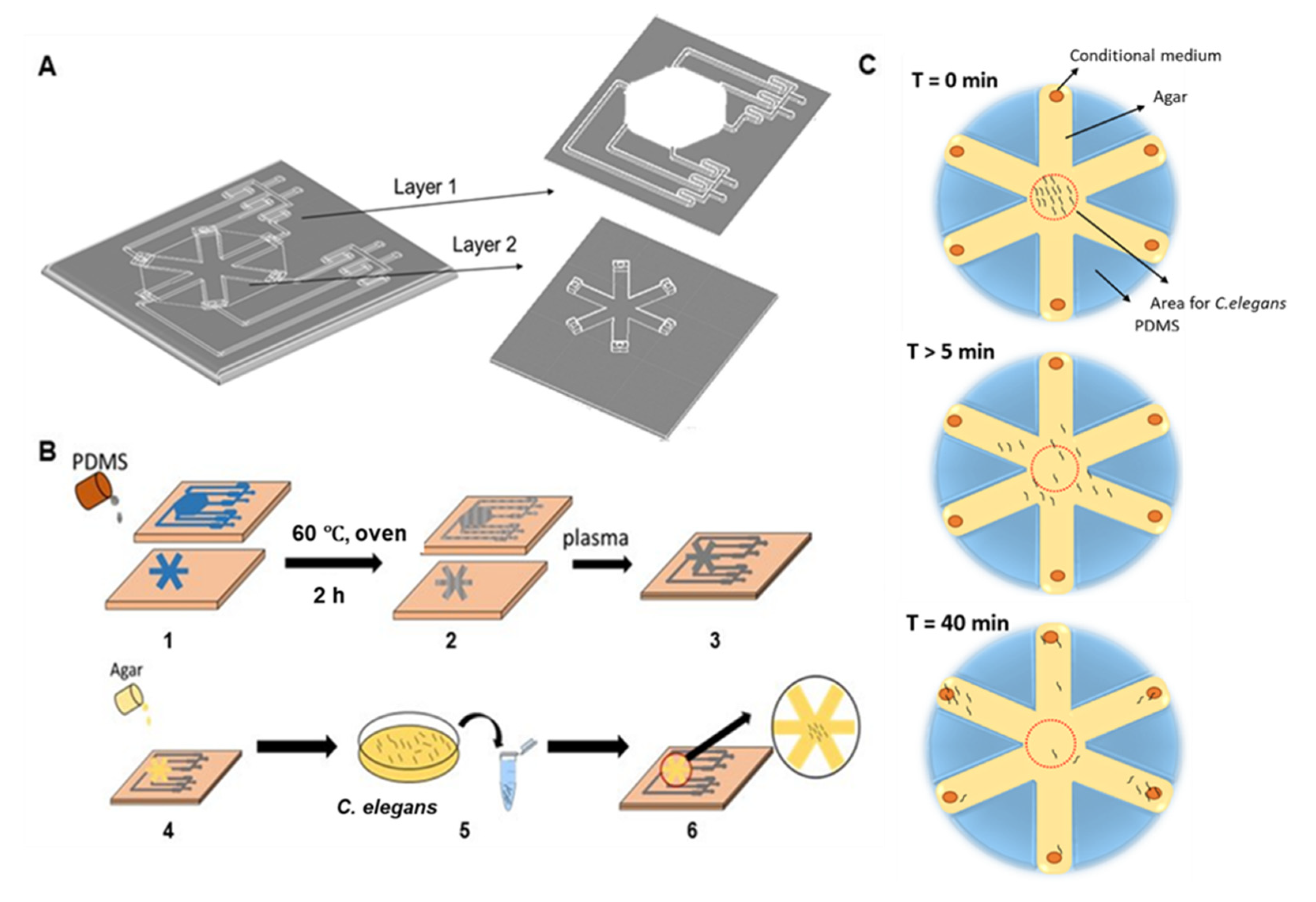Cancers 13 00873 g001