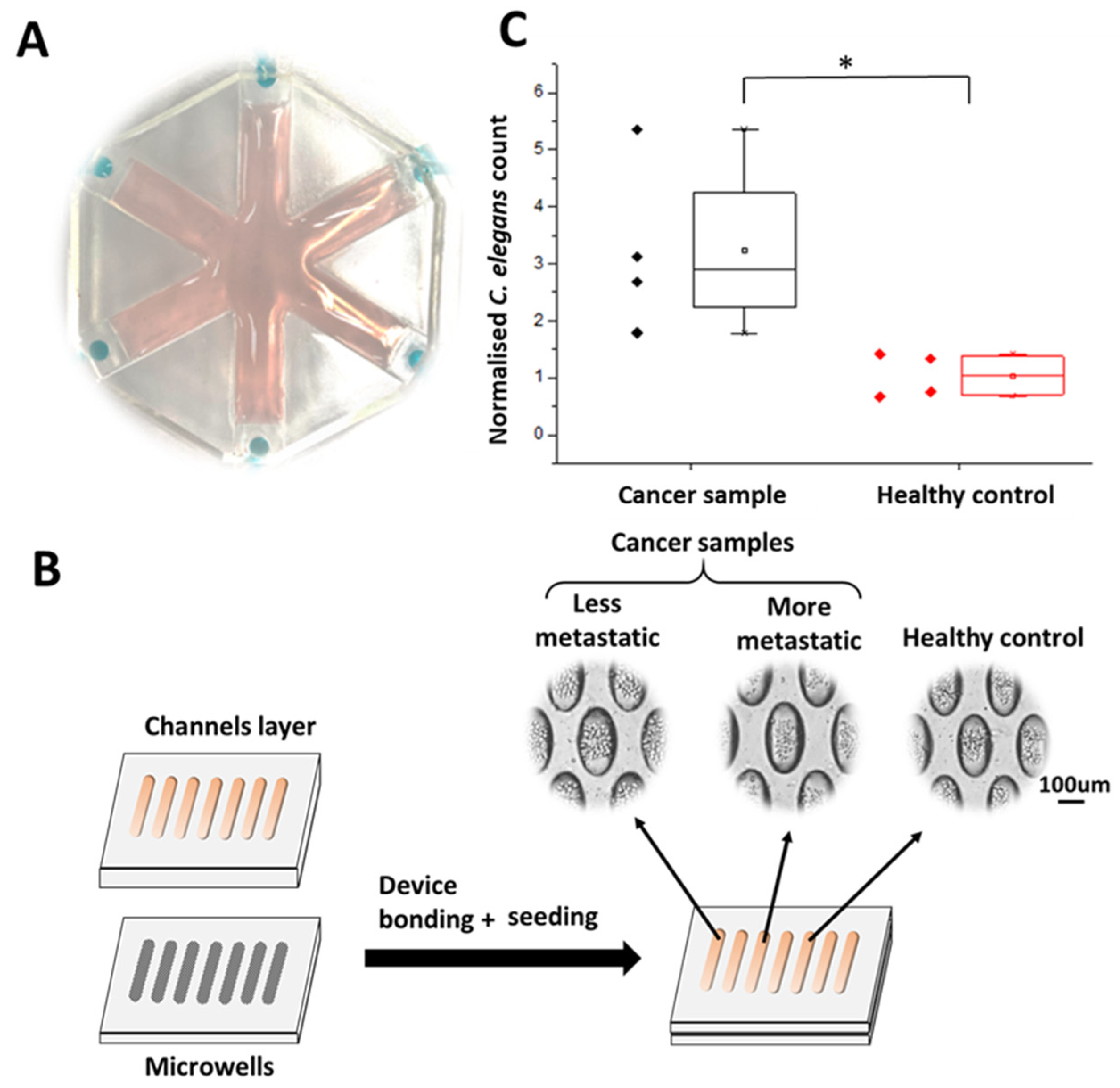 Cancers 13 00873 g002