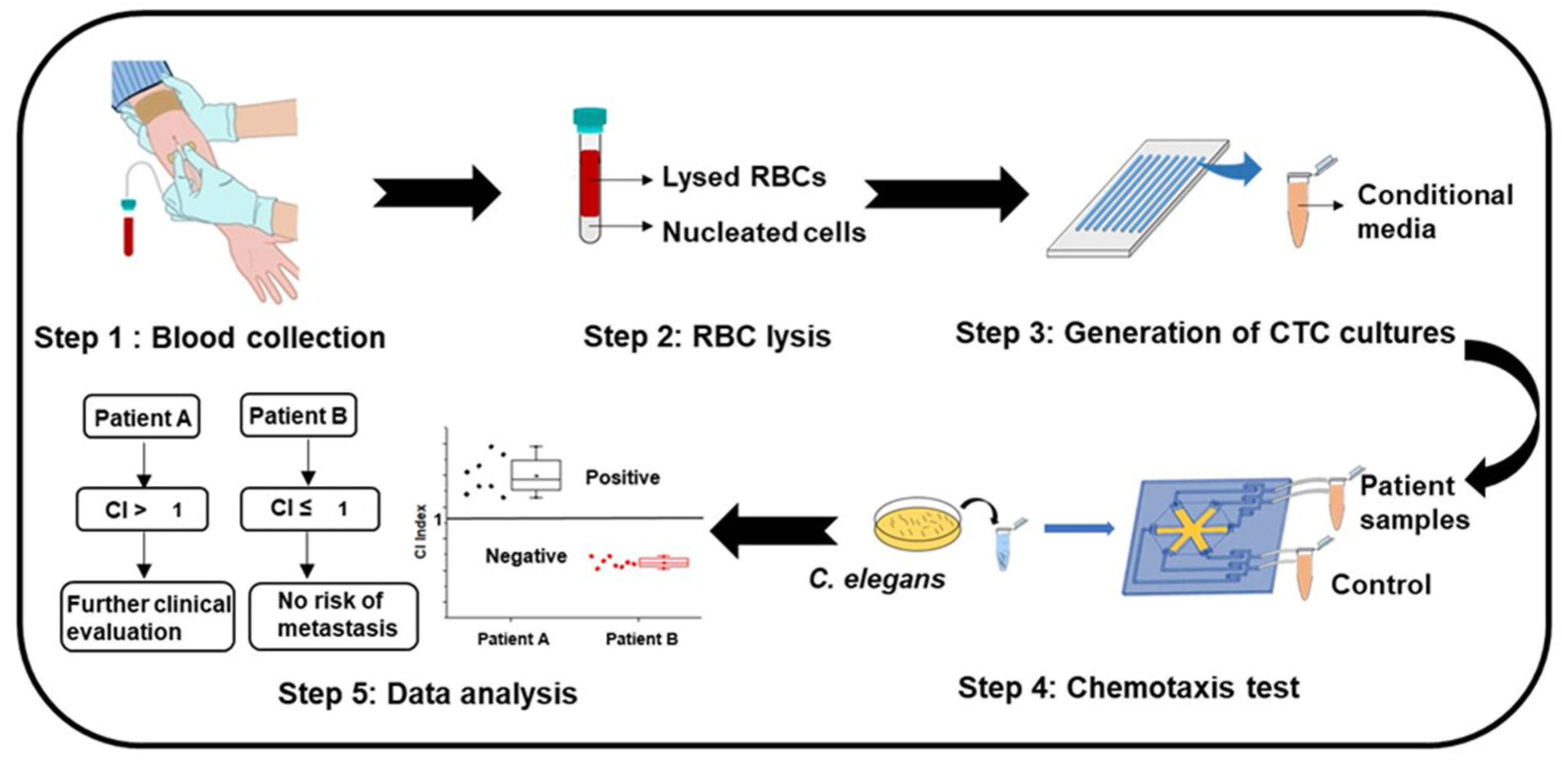 Cancers 13 00873 g006