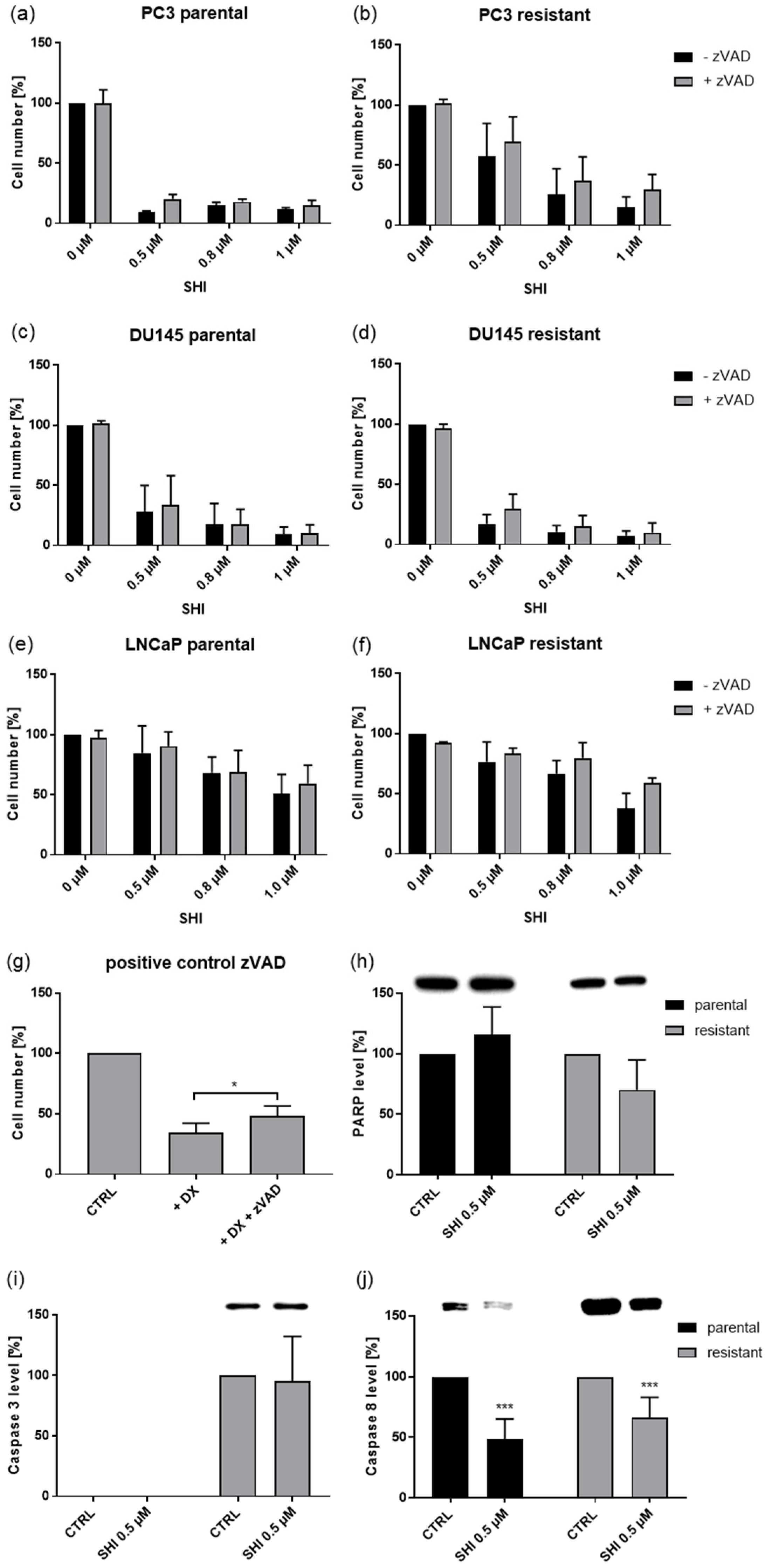 Cancers 13 00882 g008
