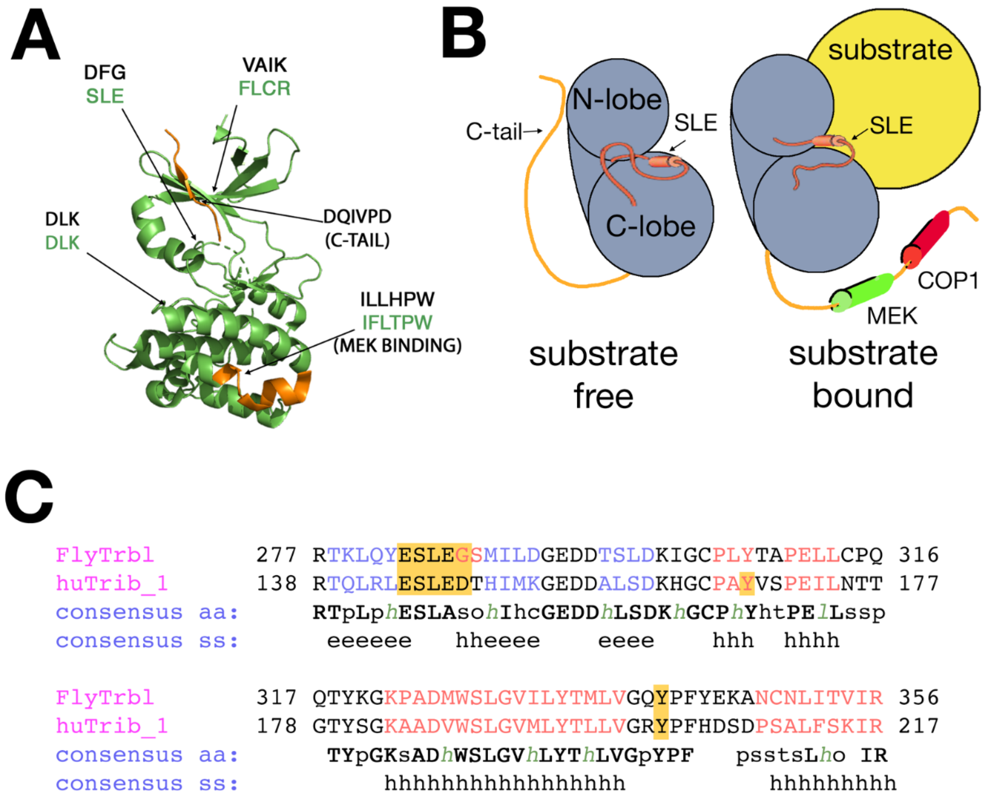 Cancers 13 00883 g001
