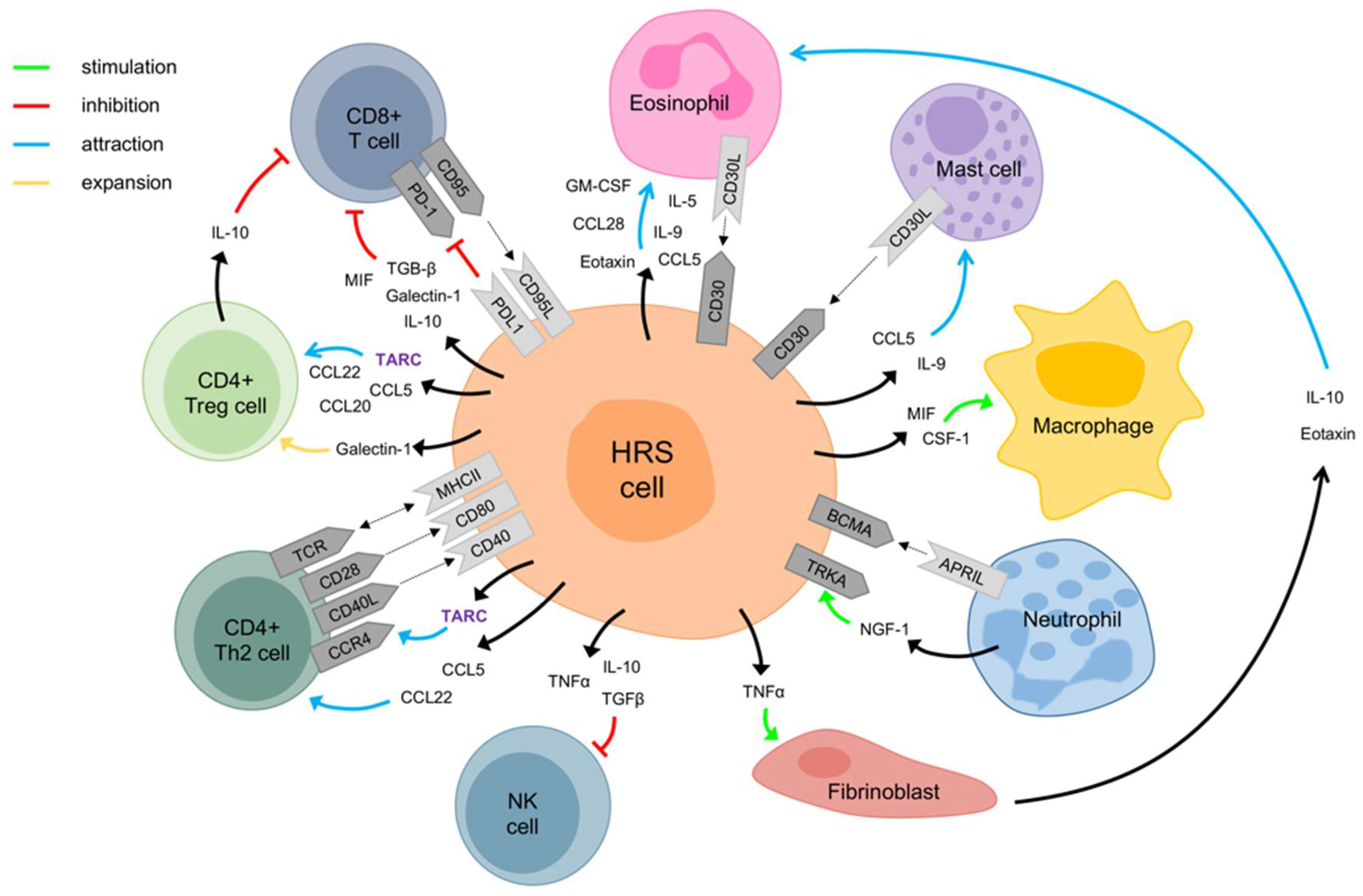 Cancers 13 00884 g001 Cancers 13 00884 g001