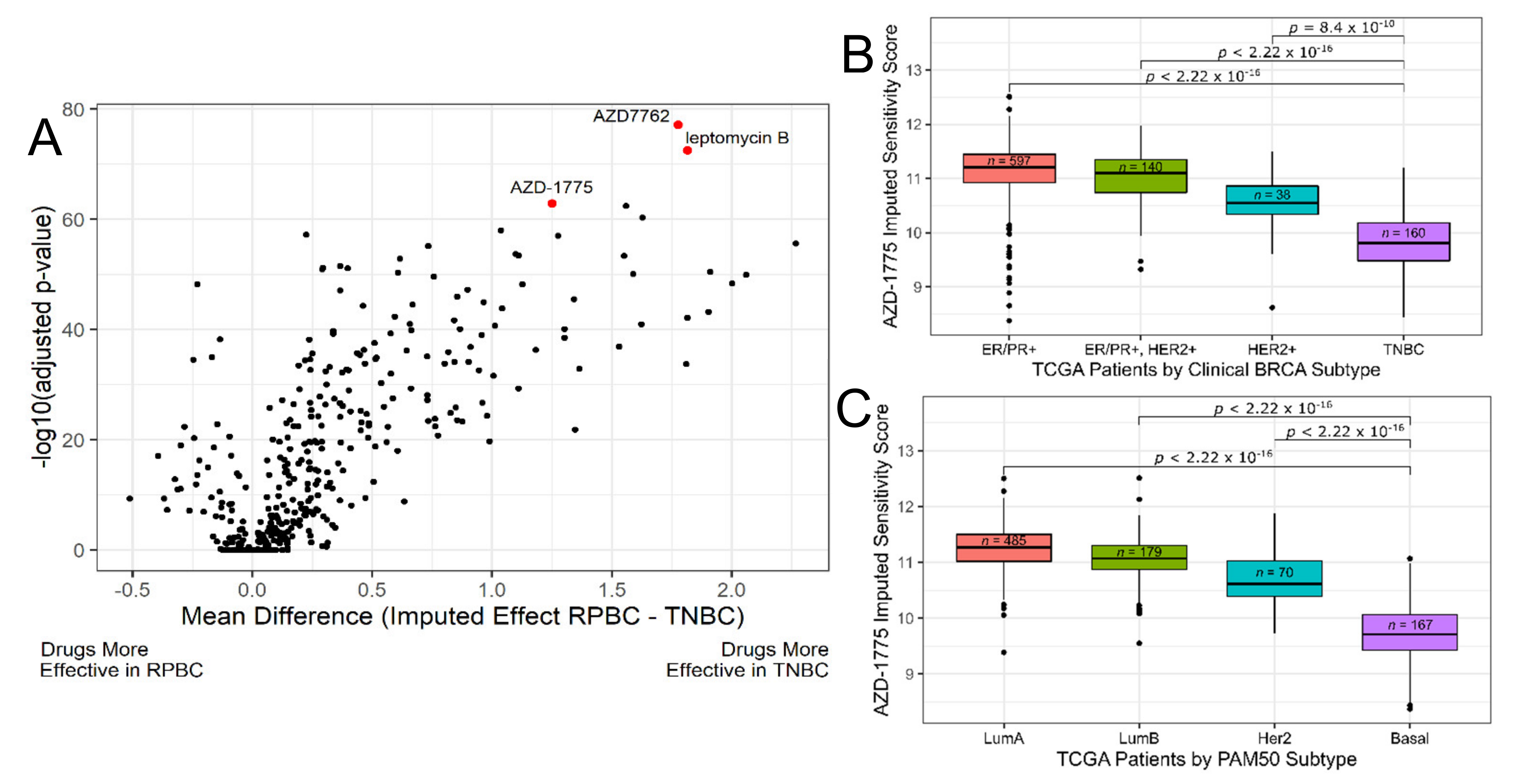Cancers 13 00885 g001 Cancers 13 00885 g001