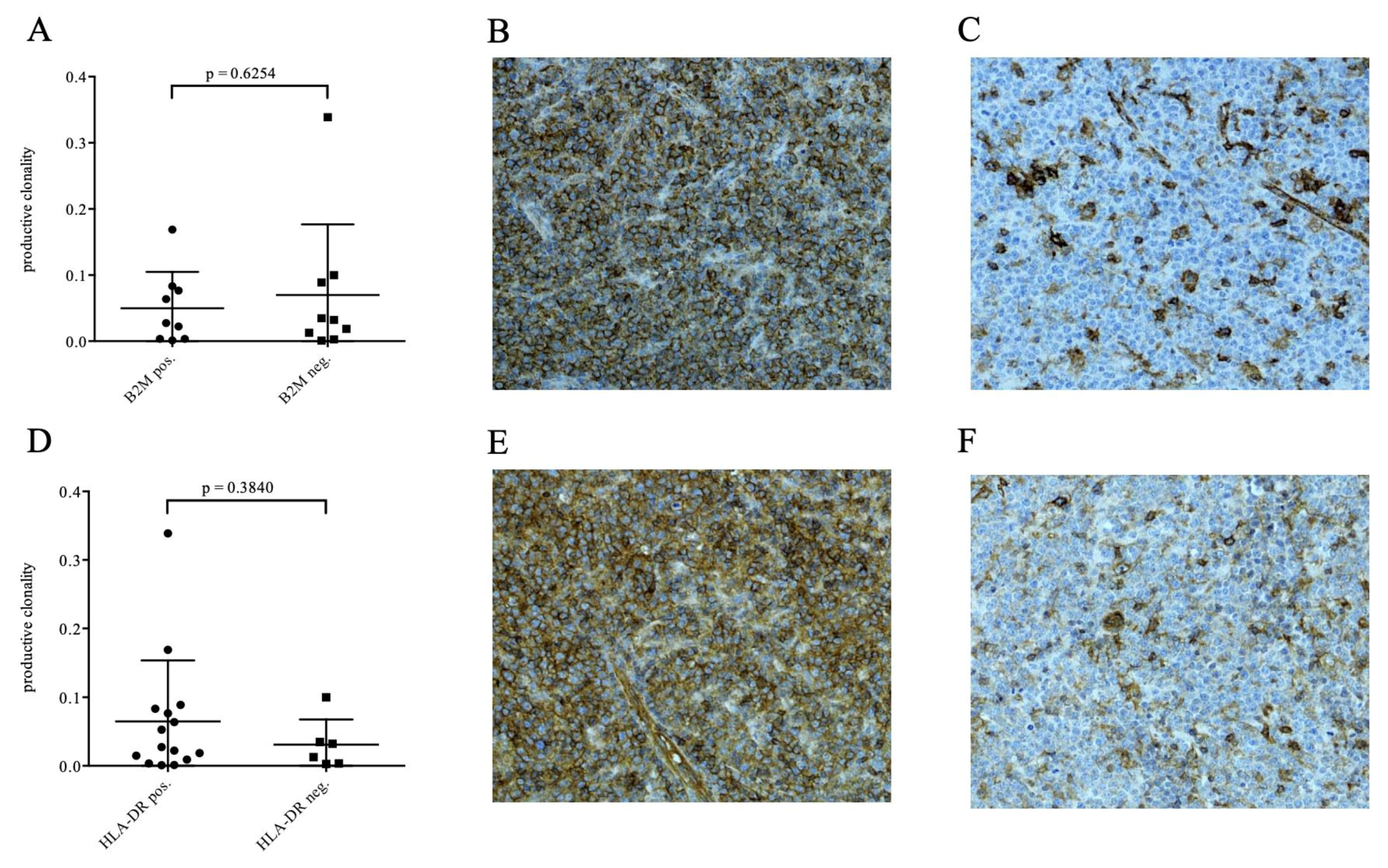 Cancers 13 00887 g001