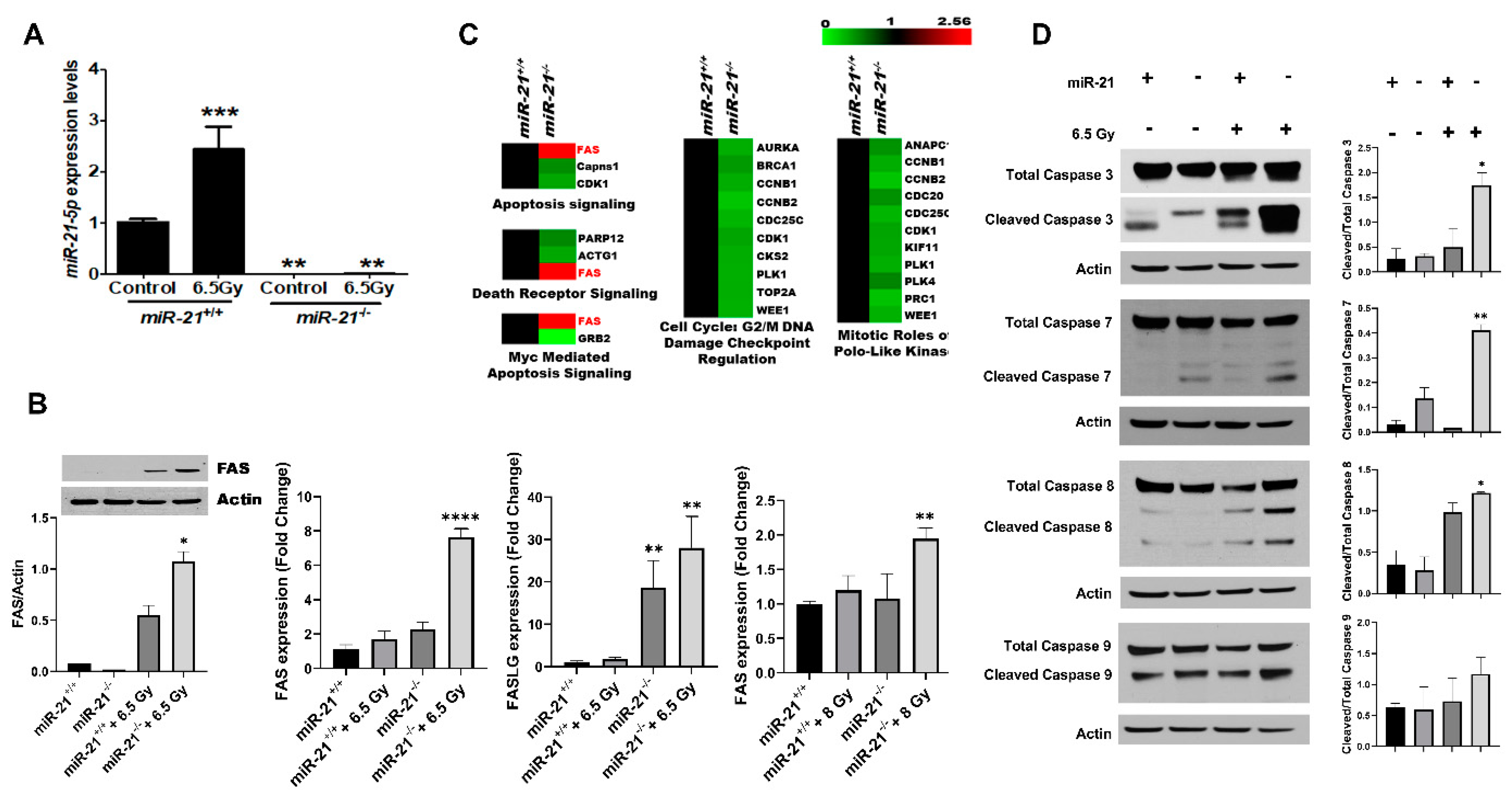Cancers 13 00888 g004