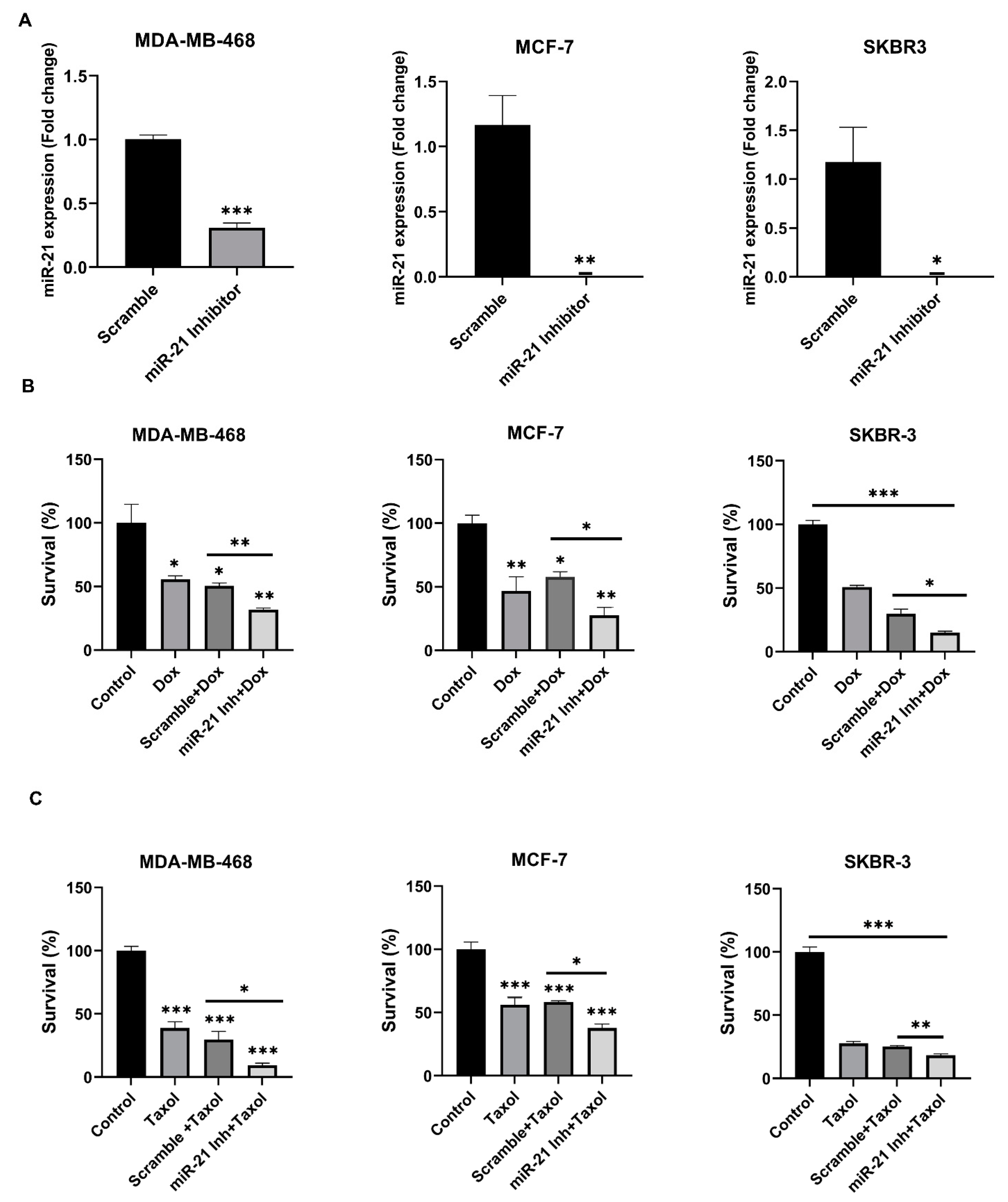 Cancers 13 00888 g005