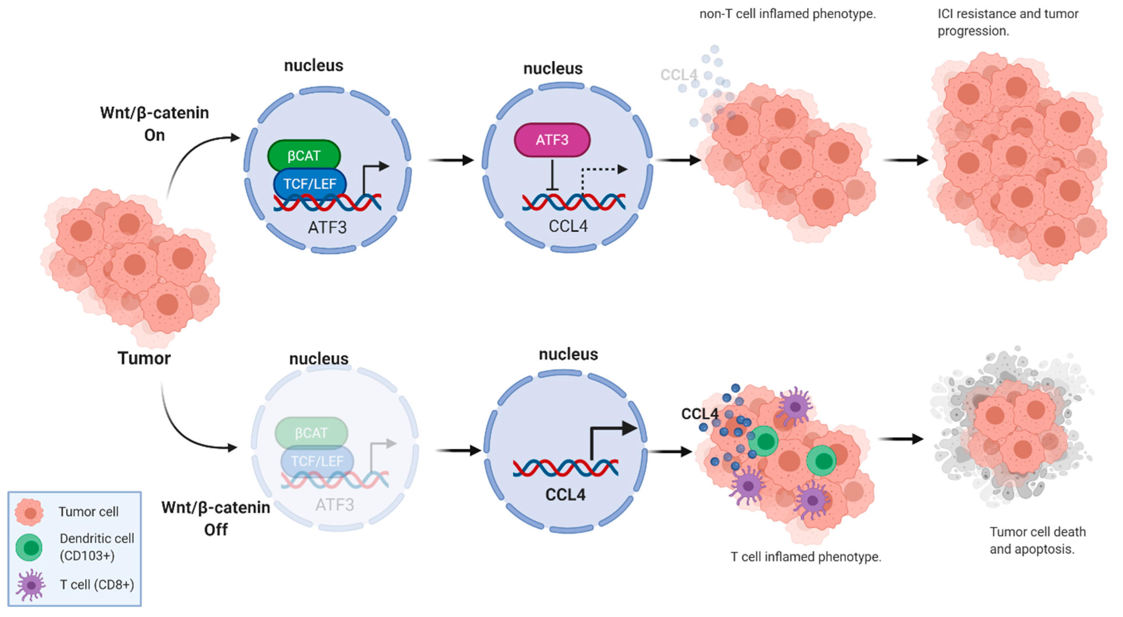 Cancers 13 00889 g002 Cancers 13 00889 g002