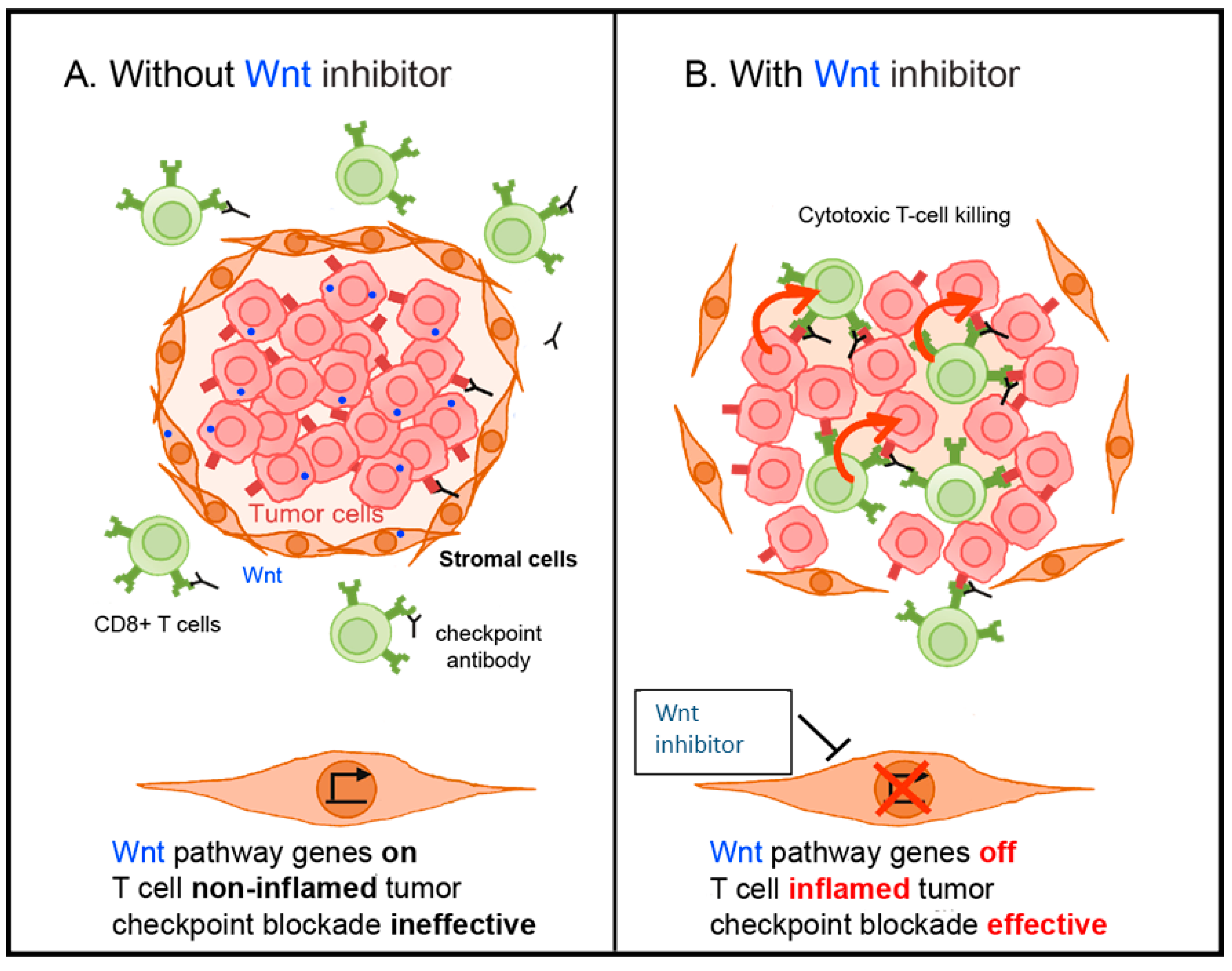 Cancers 13 00889 g004 Cancers 13 00889 g004